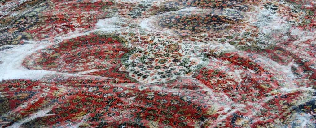 Professional Rug Cleaning in Toronto - Done the Traditional Way