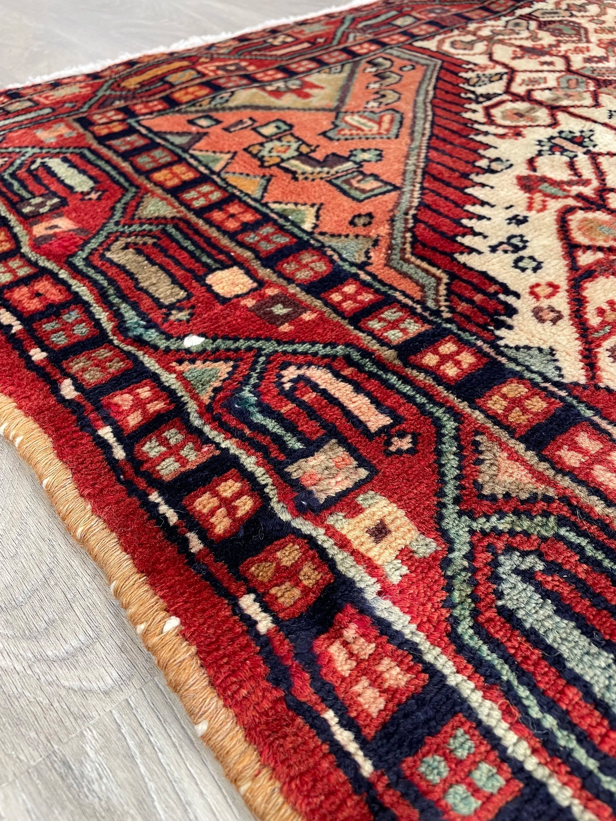 Nahavand Wool Rug (3'11" x 6'3")