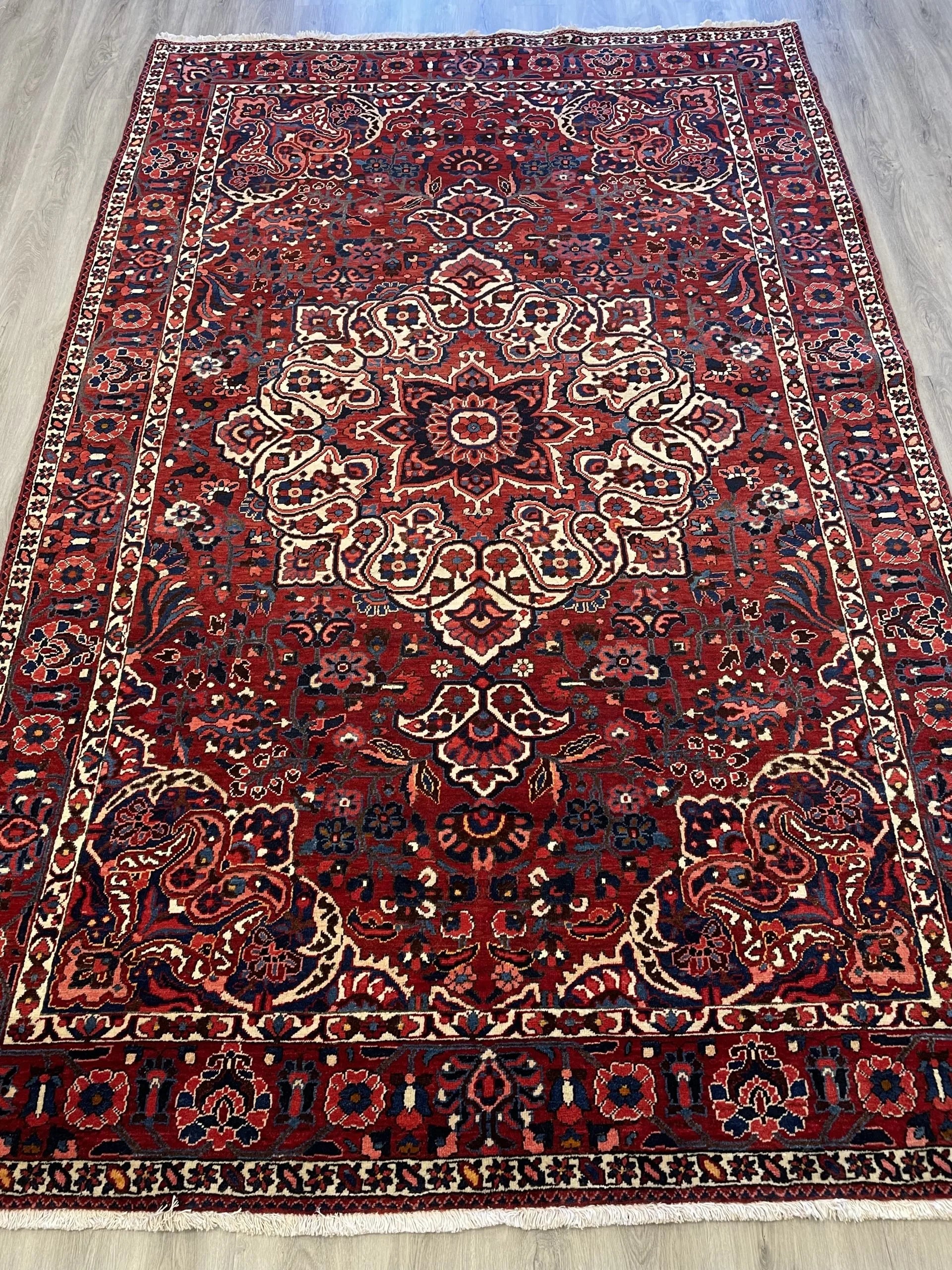 Bakhtiari Wool Rug (6'10" x 10'6")