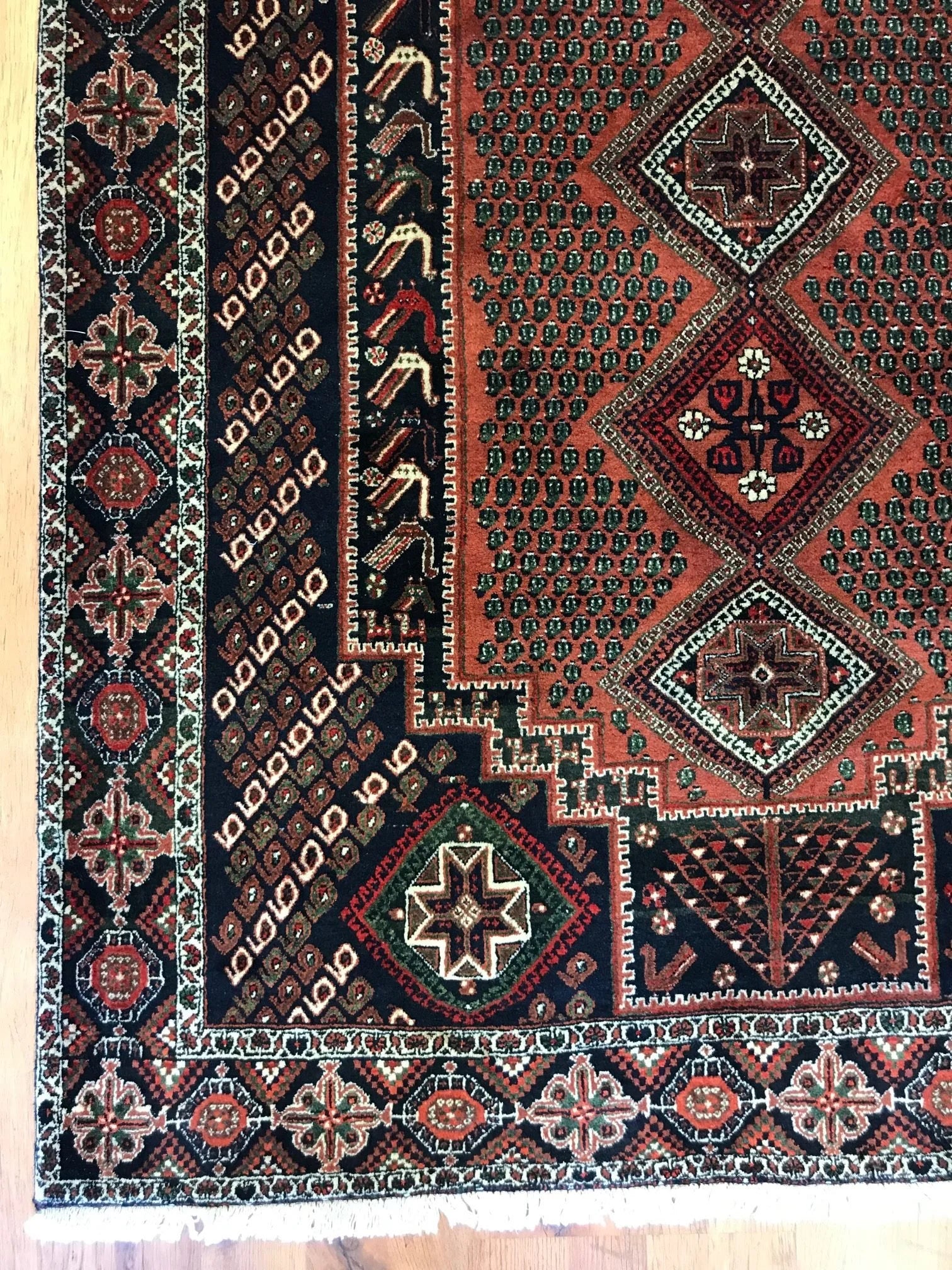 Sirjjan Wool Rug (4'9" x 7'0")