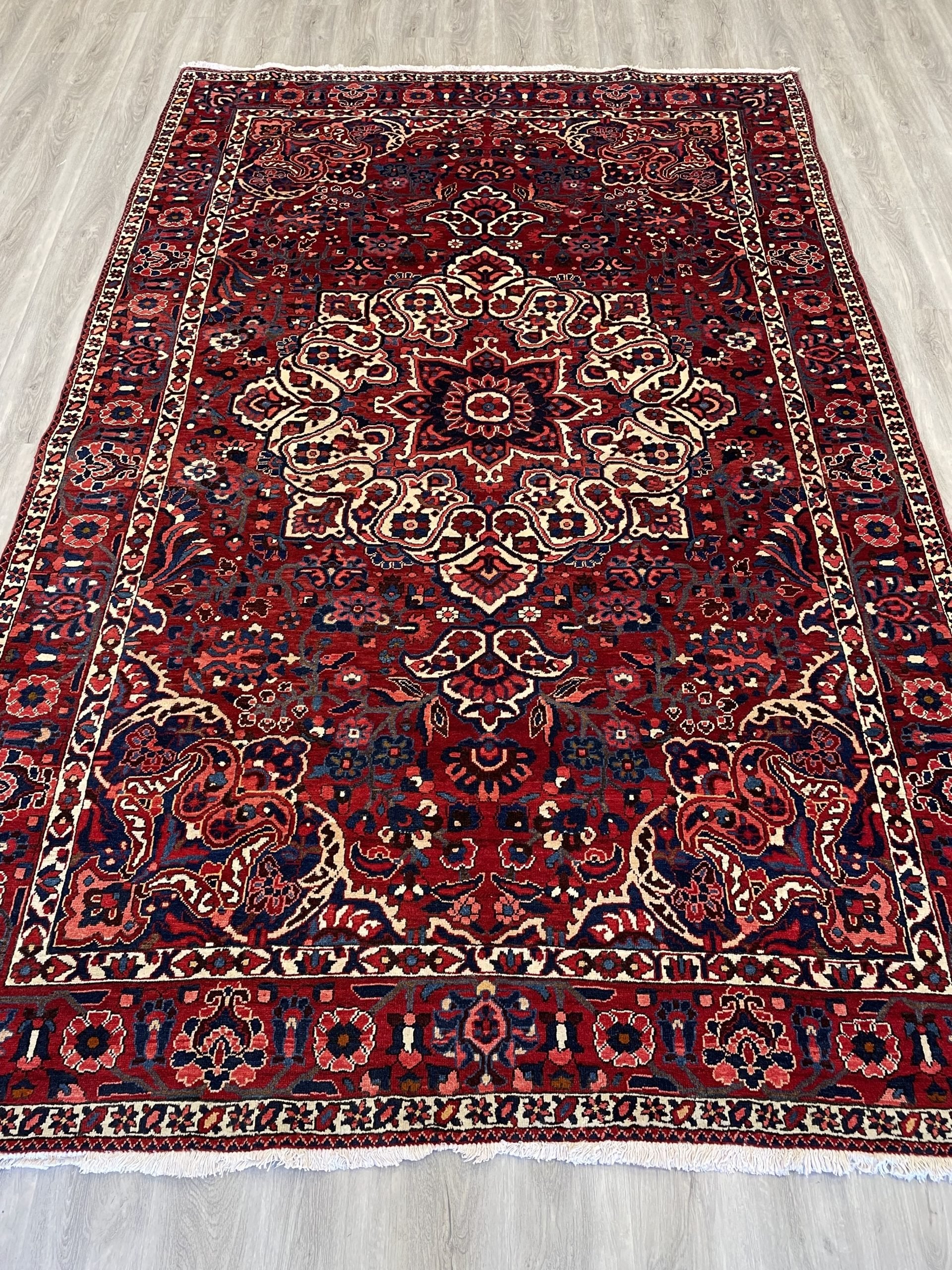 Bakhtiari Wool Rug (6'10" x 10'6")