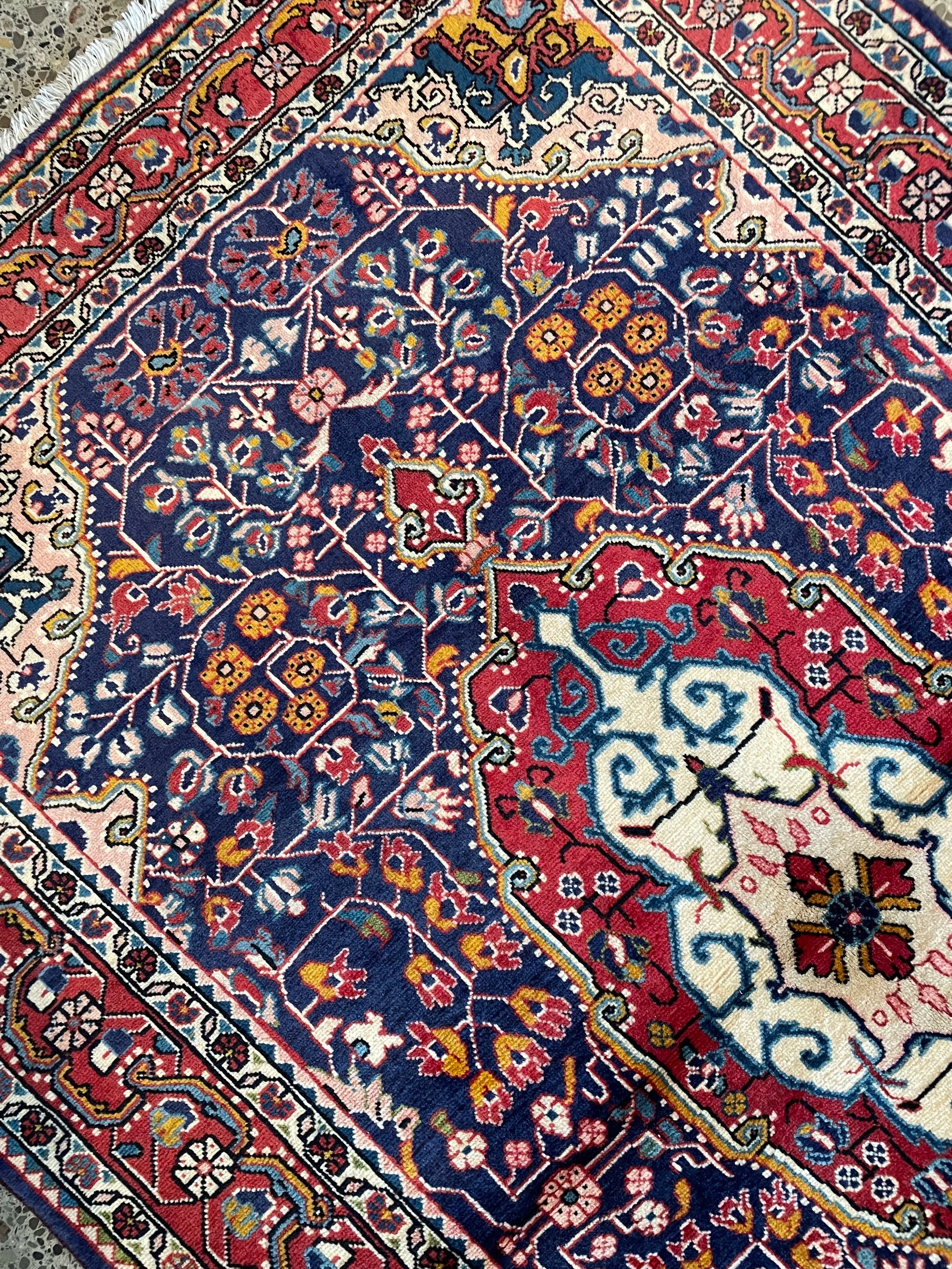 Jozan Malayer Wool Rug (3'5" x 5'3")