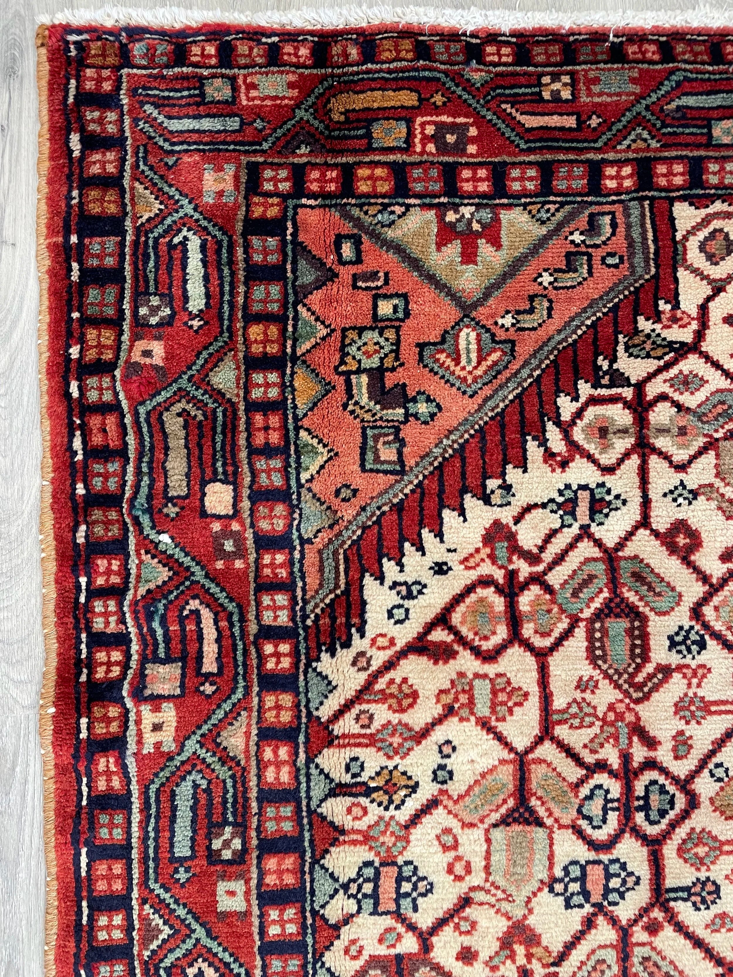 Nahavand Wool Rug (3'11" x 6'3")