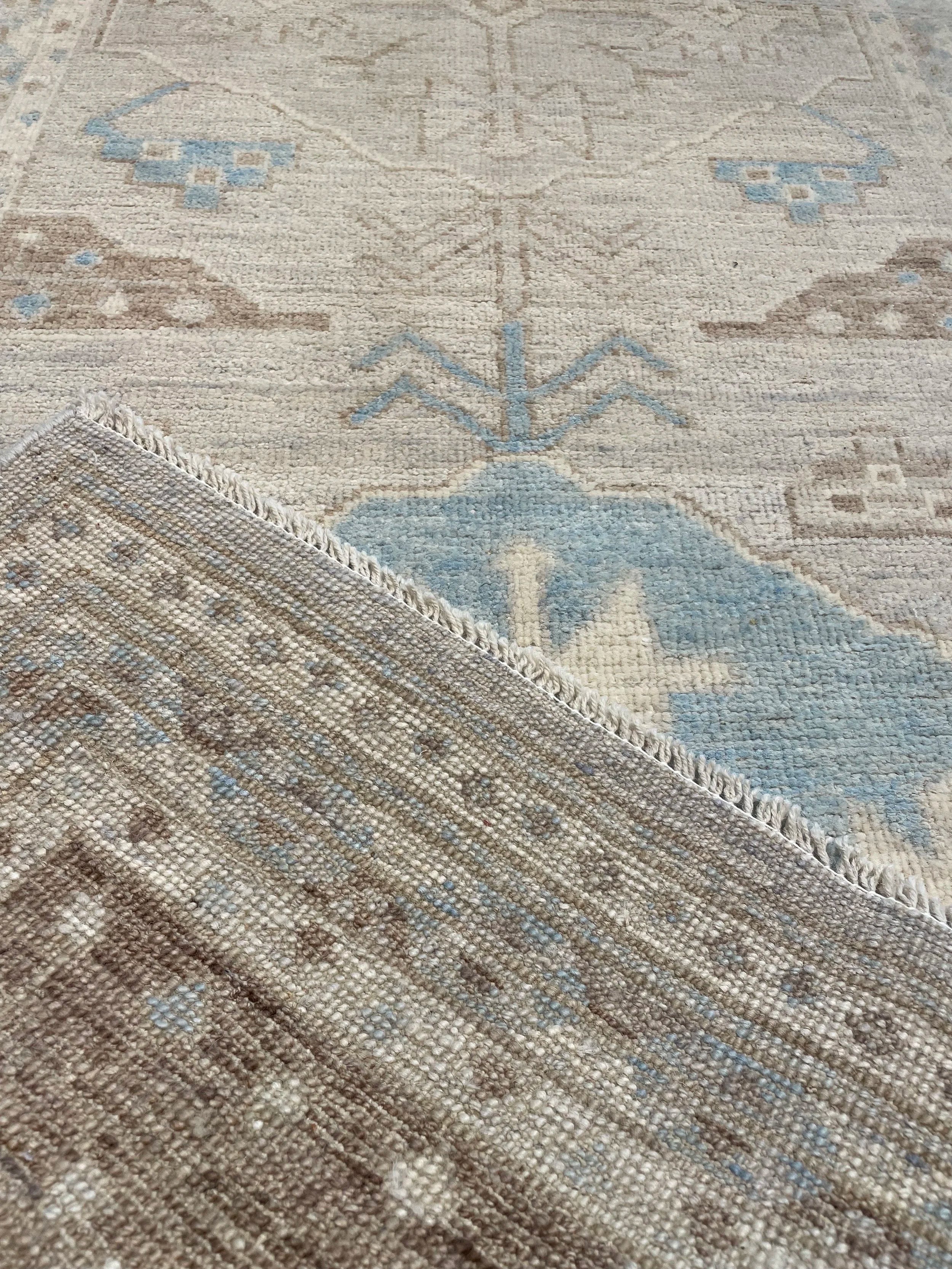 Oushak Rug (3'1" x 8'3")