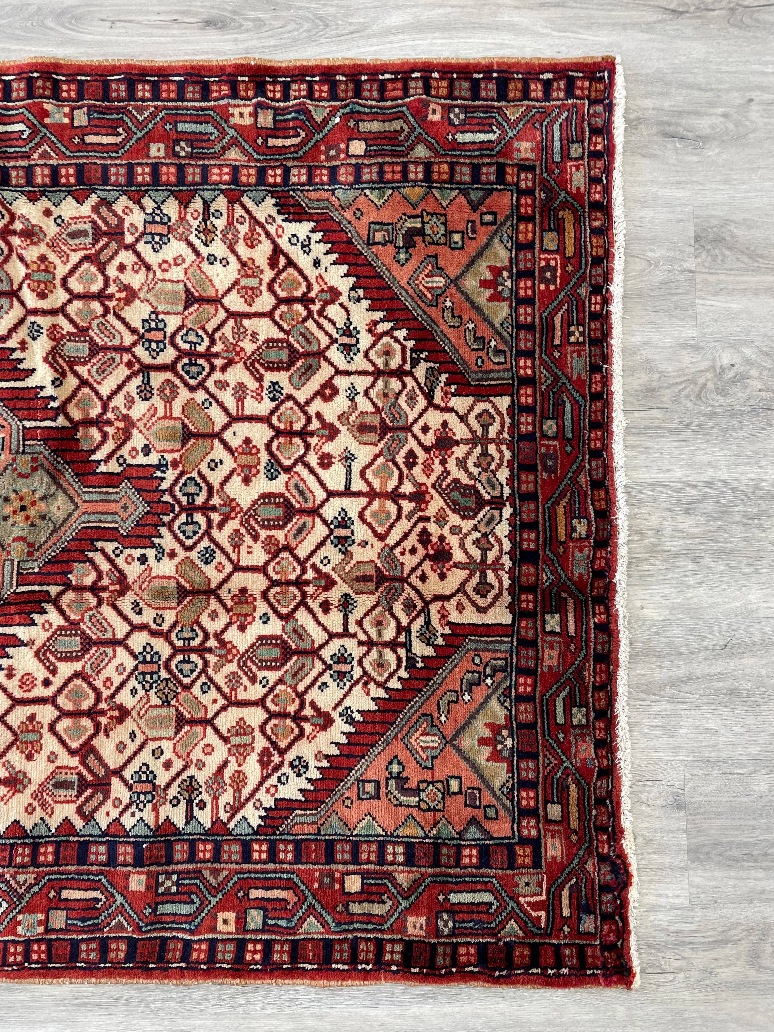 Nahavand Wool Rug (3'11" x 6'3")