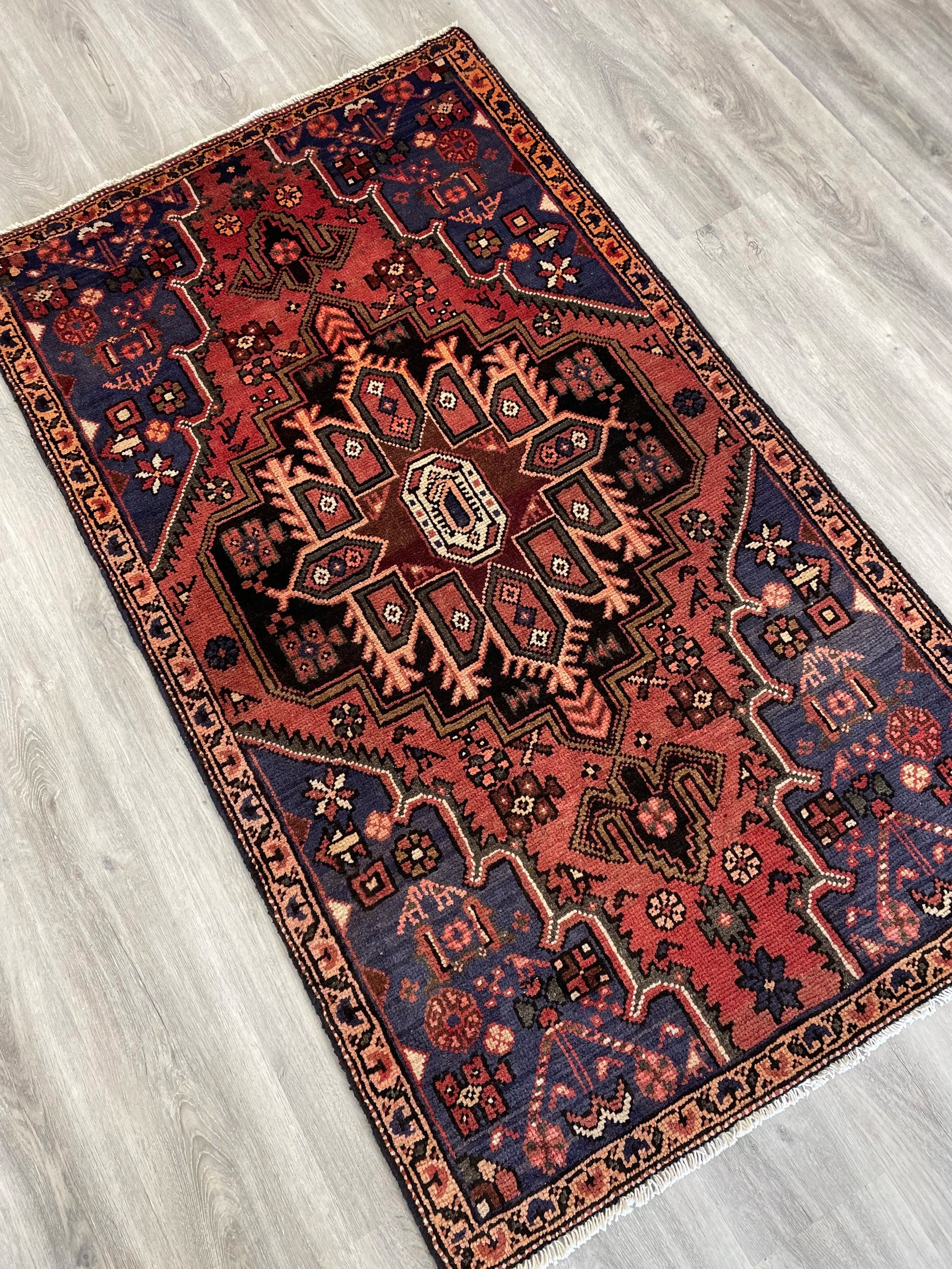 Zanjan Wool Rug (3'1" x 5'4")
