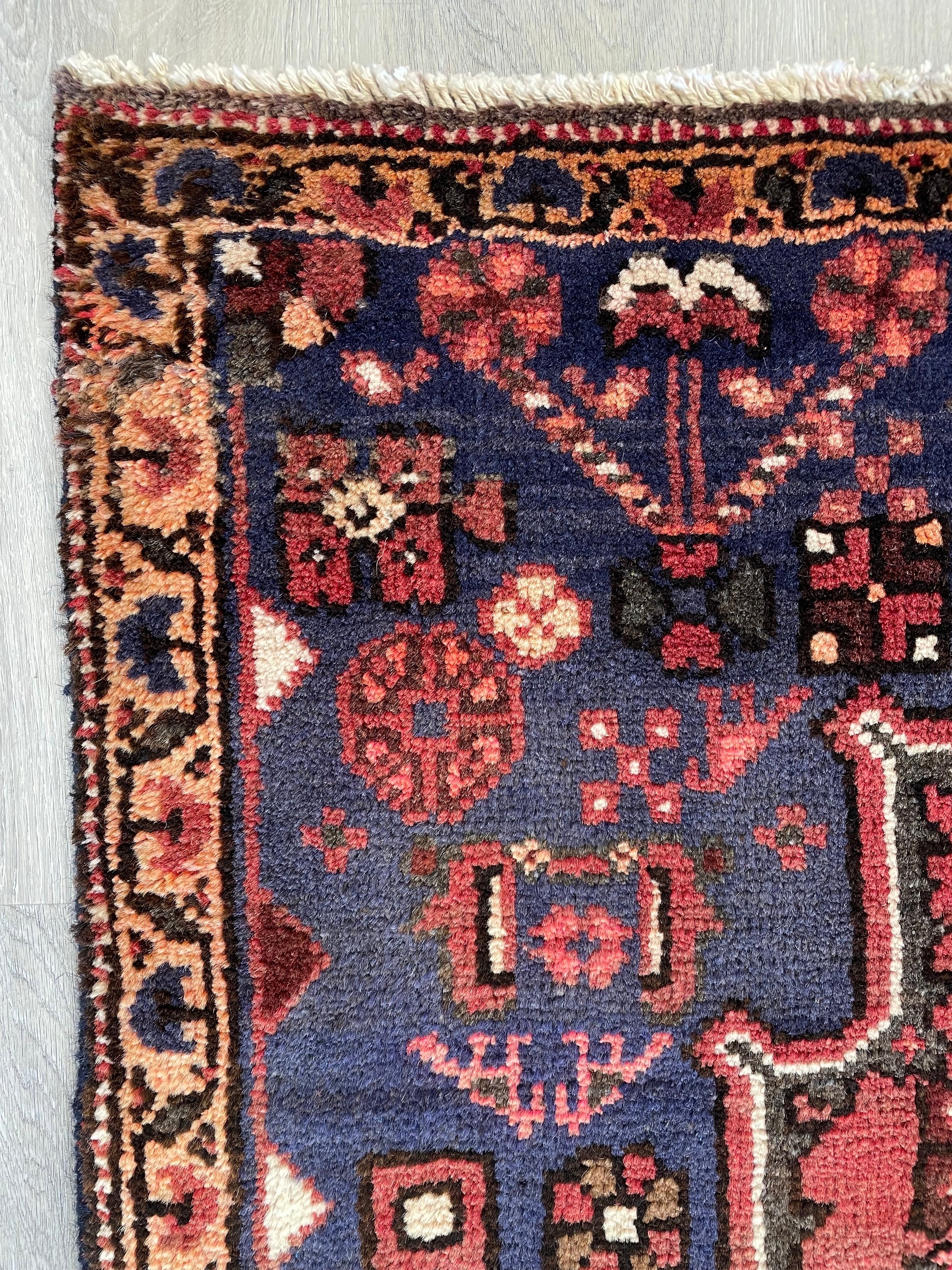 Zanjan Wool Rug (3'1" x 5'4")