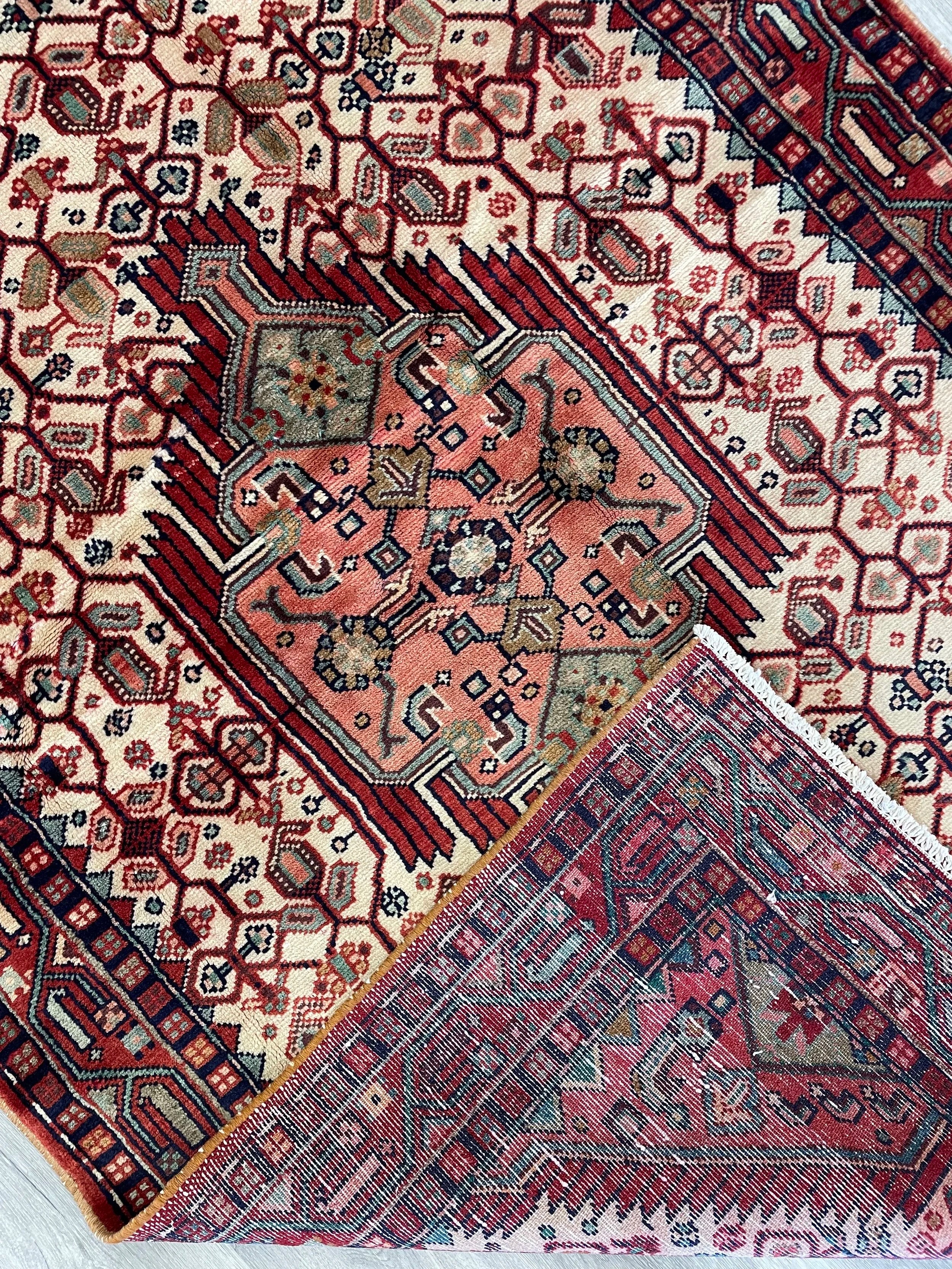 Nahavand Wool Rug (3'11" x 6'3")