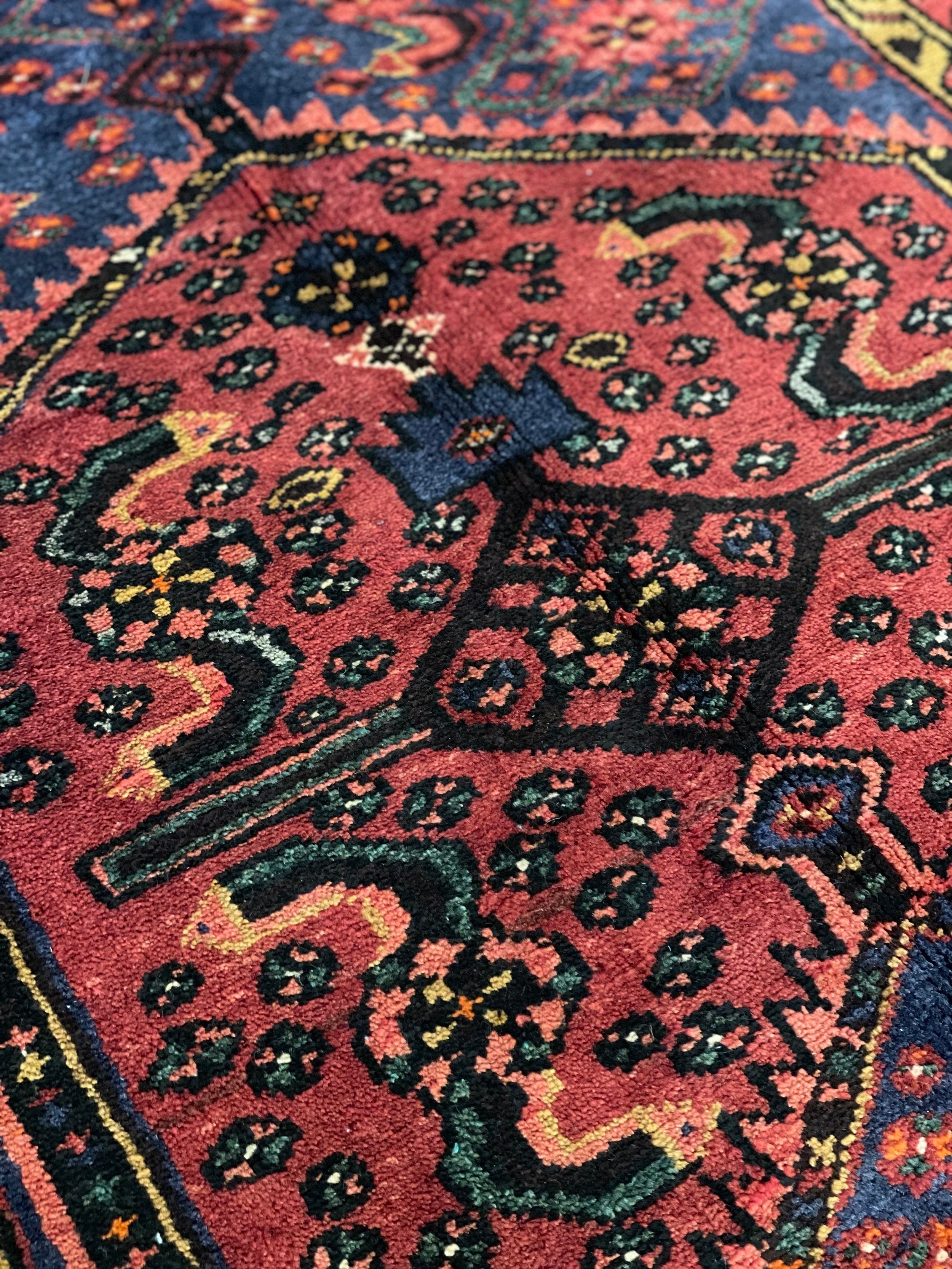 Zanjan Wool Rug (3'9" x 6'8")