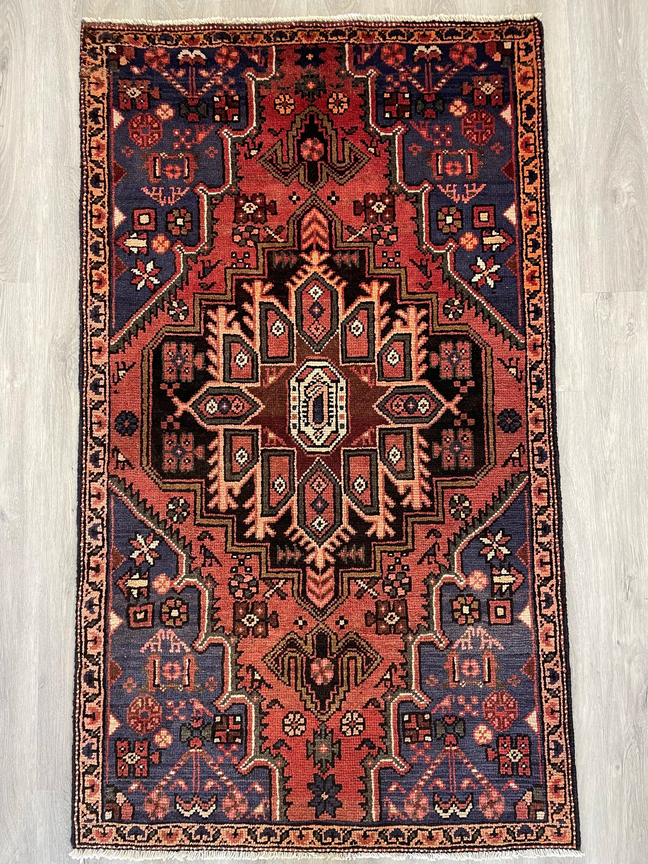 Zanjan Wool Rug (3'1" x 5'4")