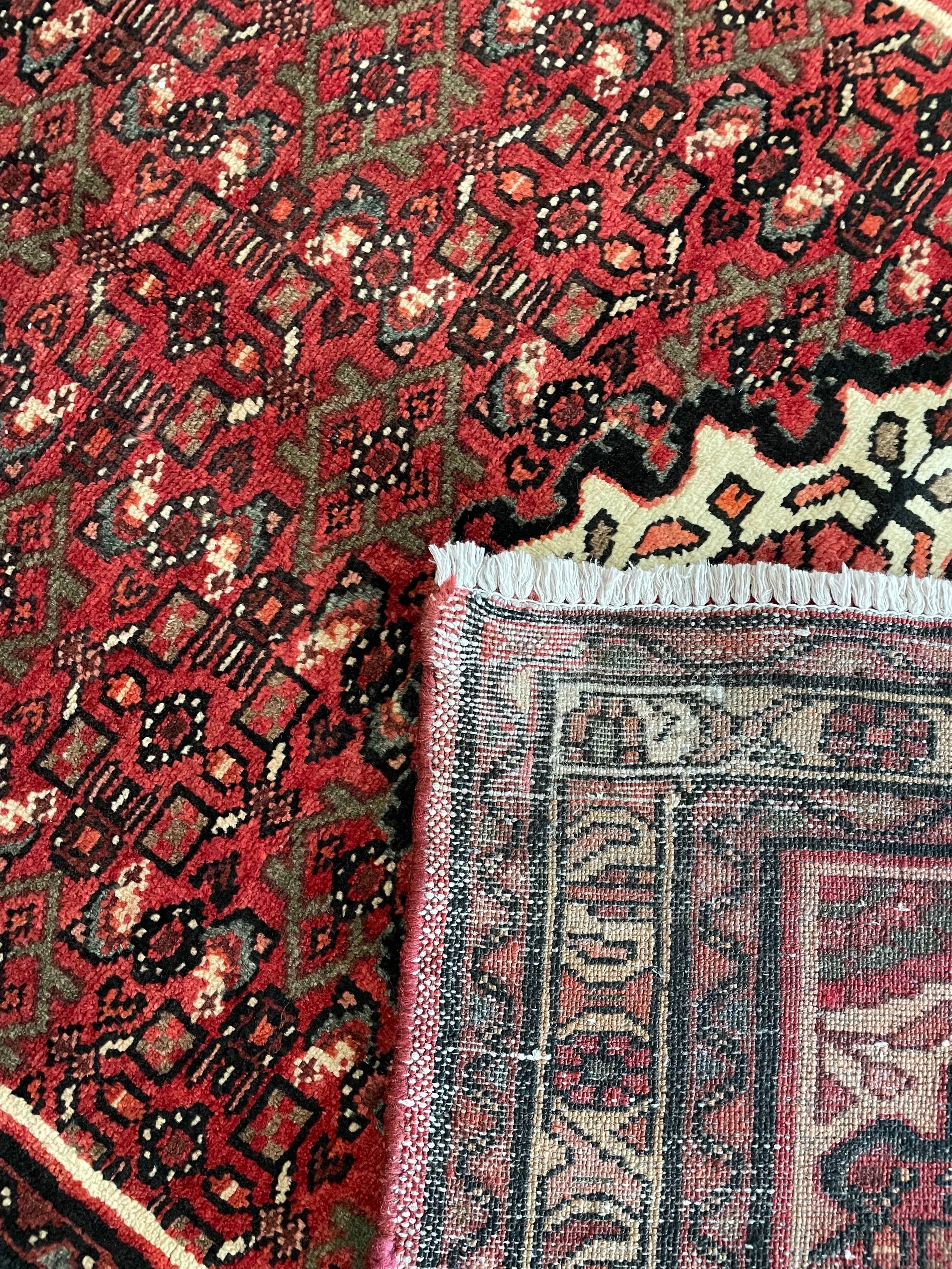 Hosseinabad Wool Rug (3'6" x 5'4")