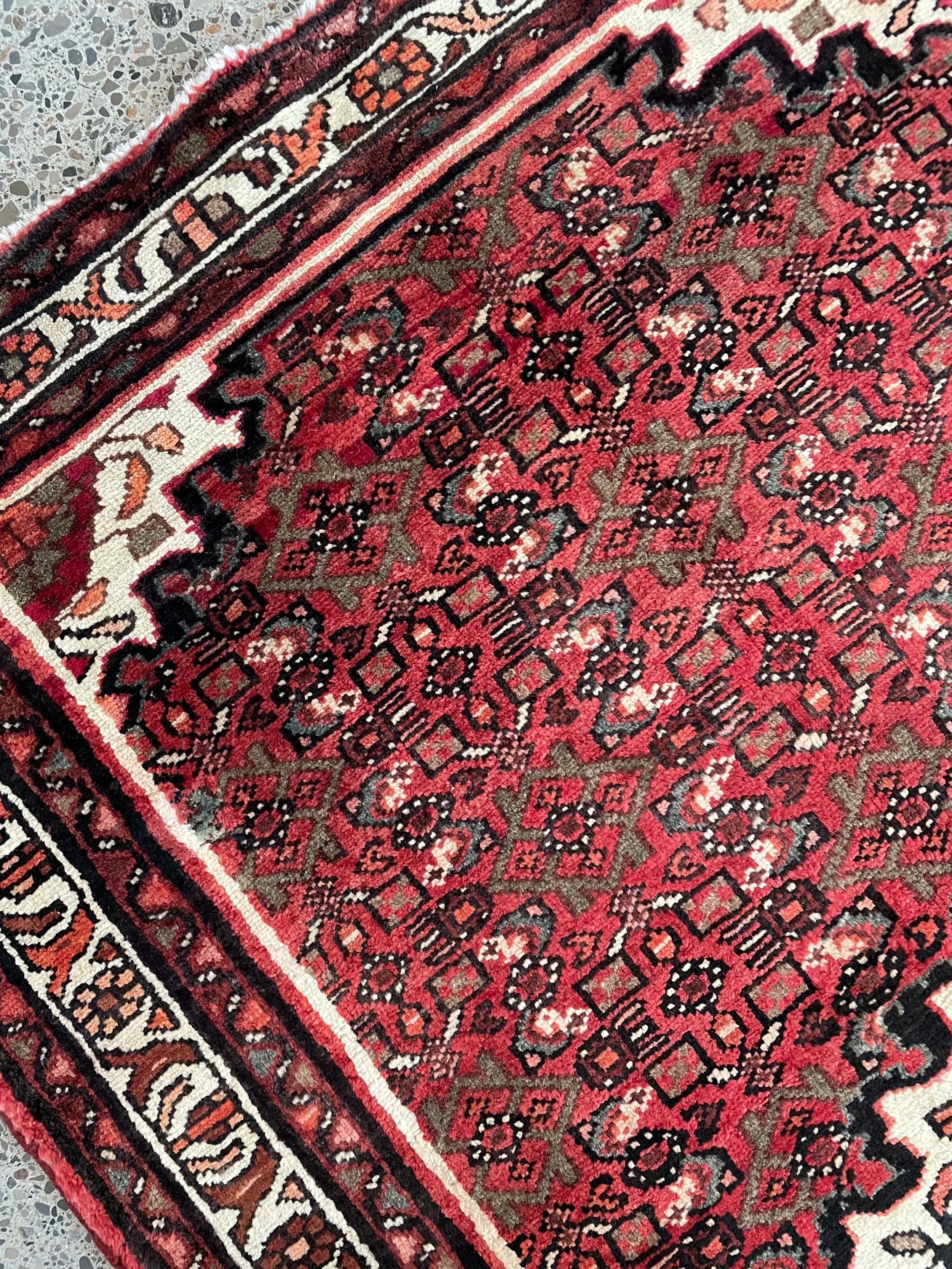 Hosseinabad Wool Rug (3'6" x 5'4")