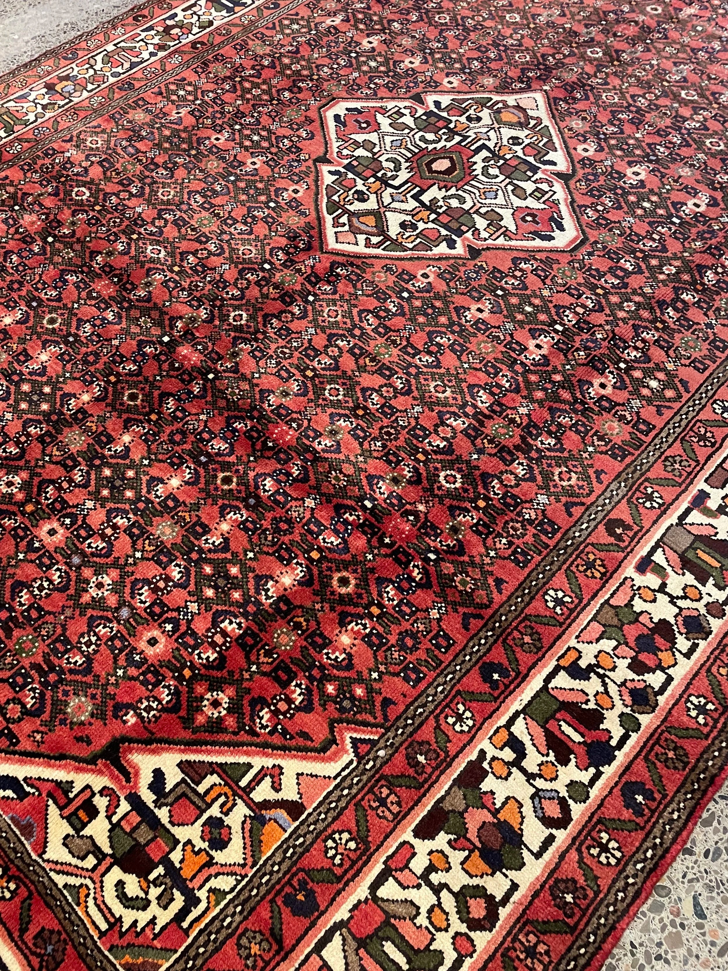 Hosseinabad Wool Rug (6'11" x 10'6")