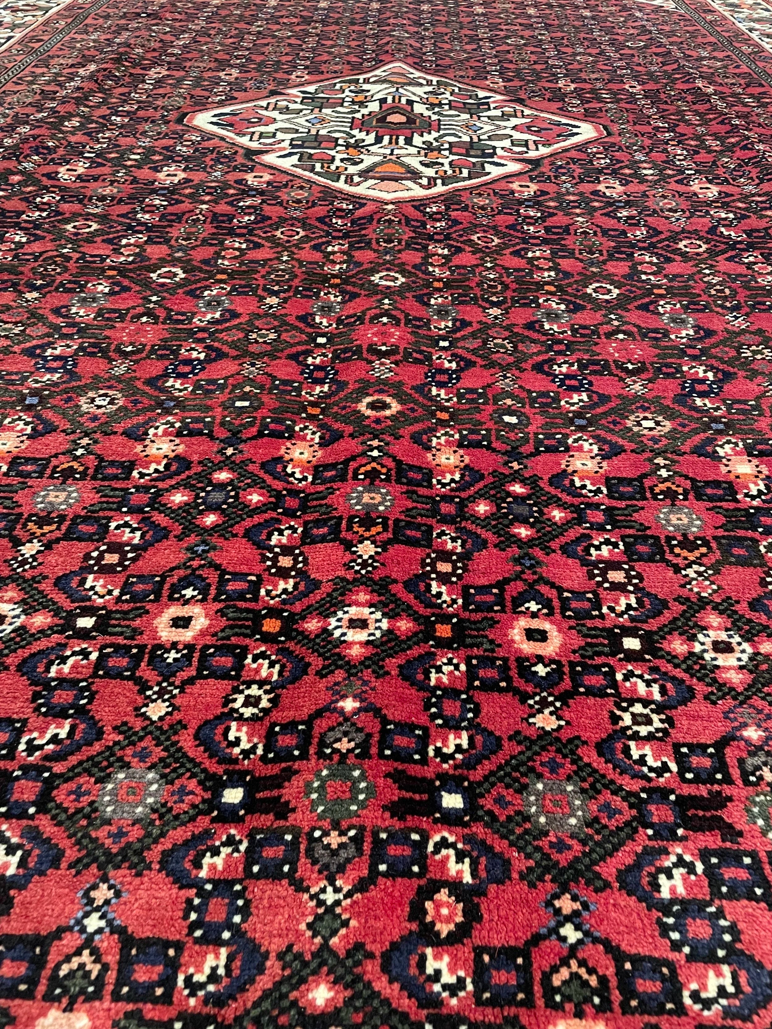 Hosseinabad Wool Rug (6'11" x 10'6")
