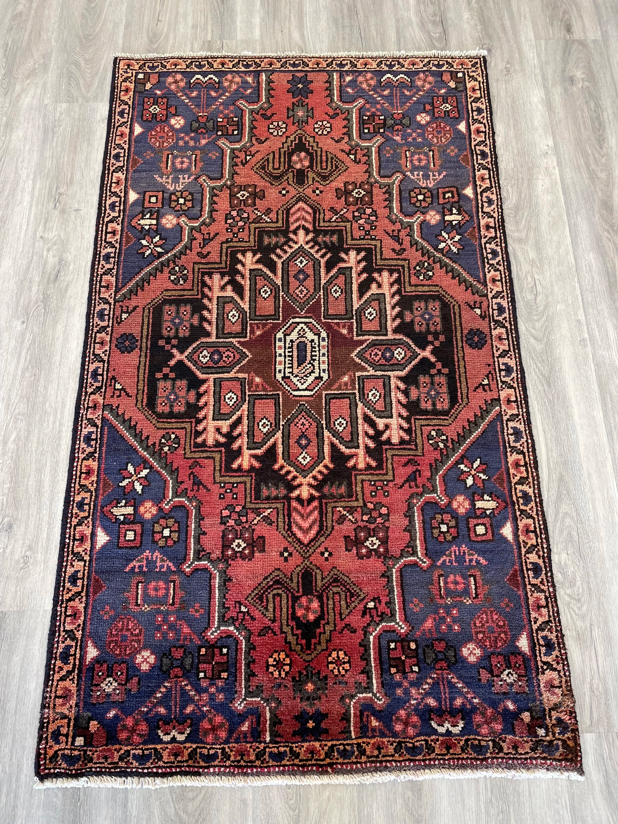 Zanjan Wool Rug (3'1" x 5'4")