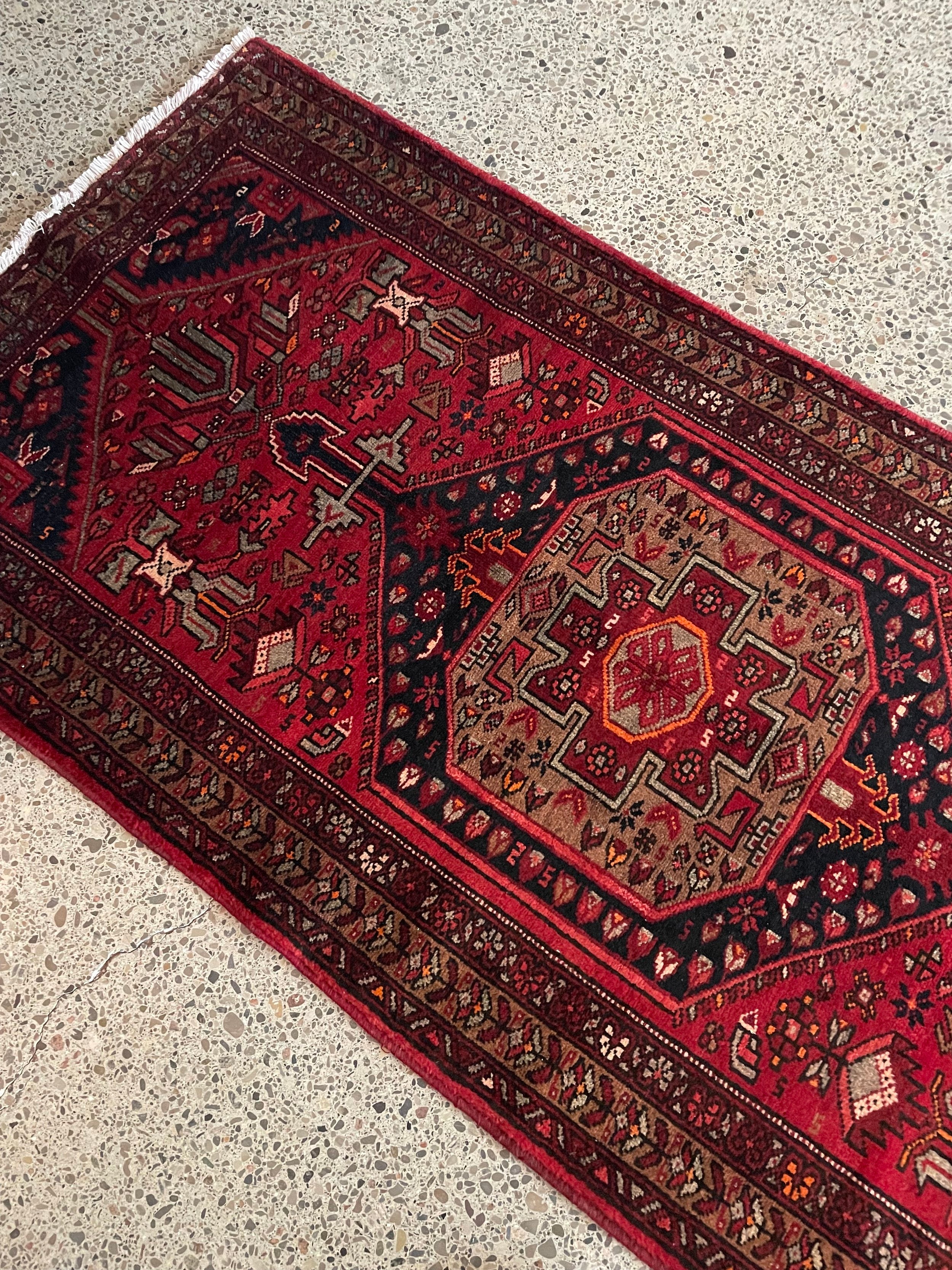 Zanjan Rug (3'2" x 6'6")