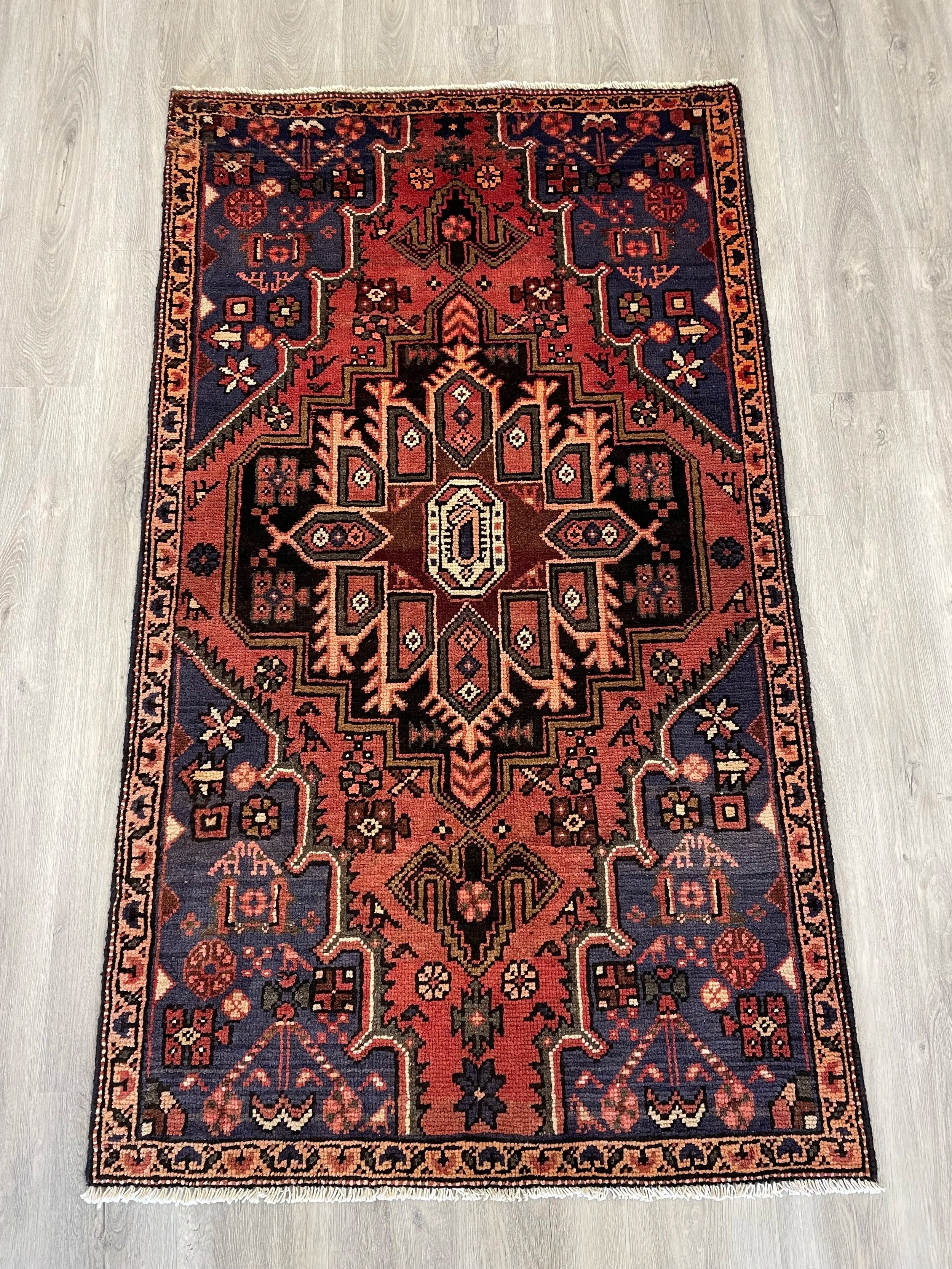 Zanjan Wool Rug (3'1" x 5'4")