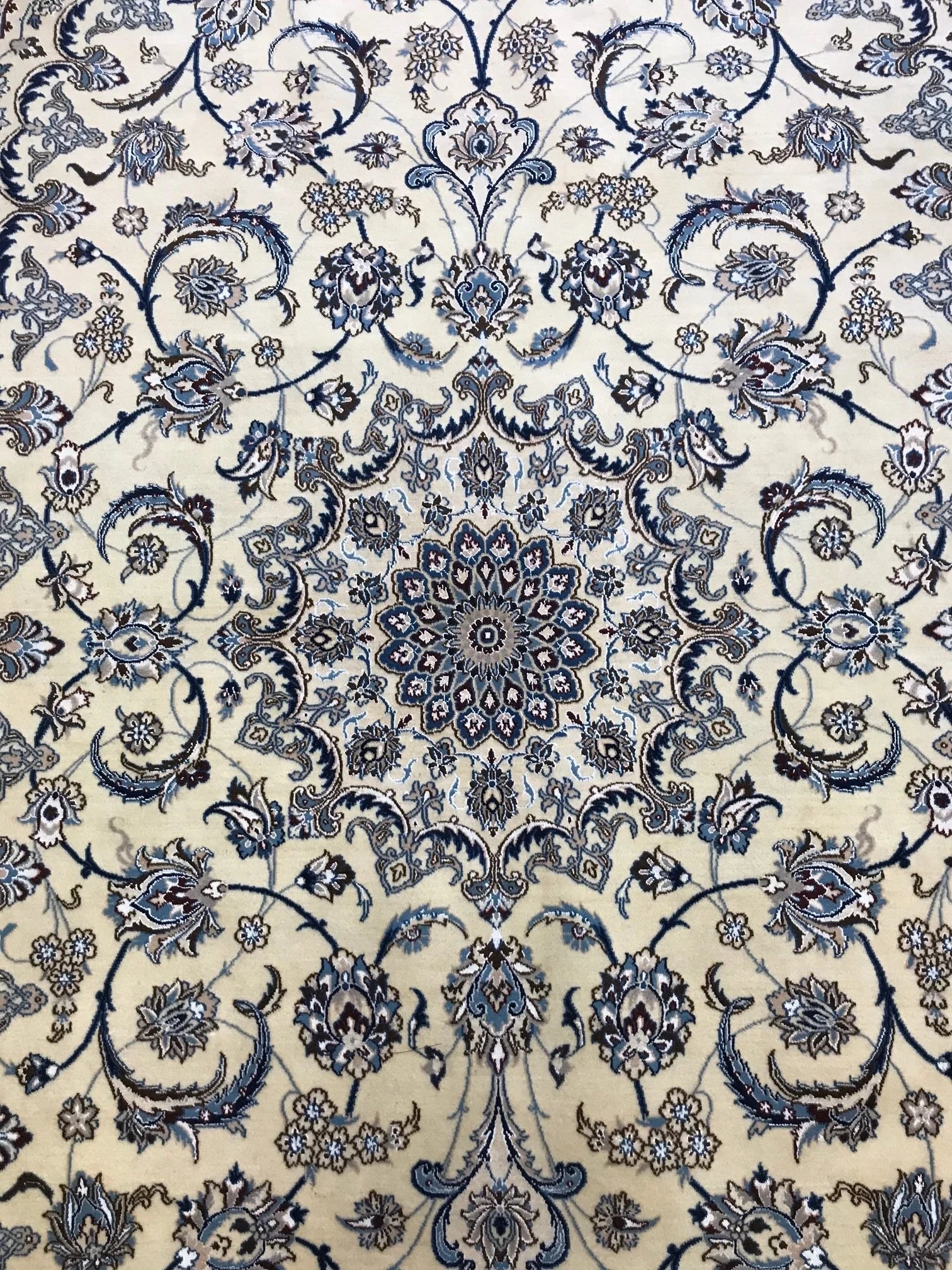 Naeen Wool & Silk Rug (8'4" x 12'0")