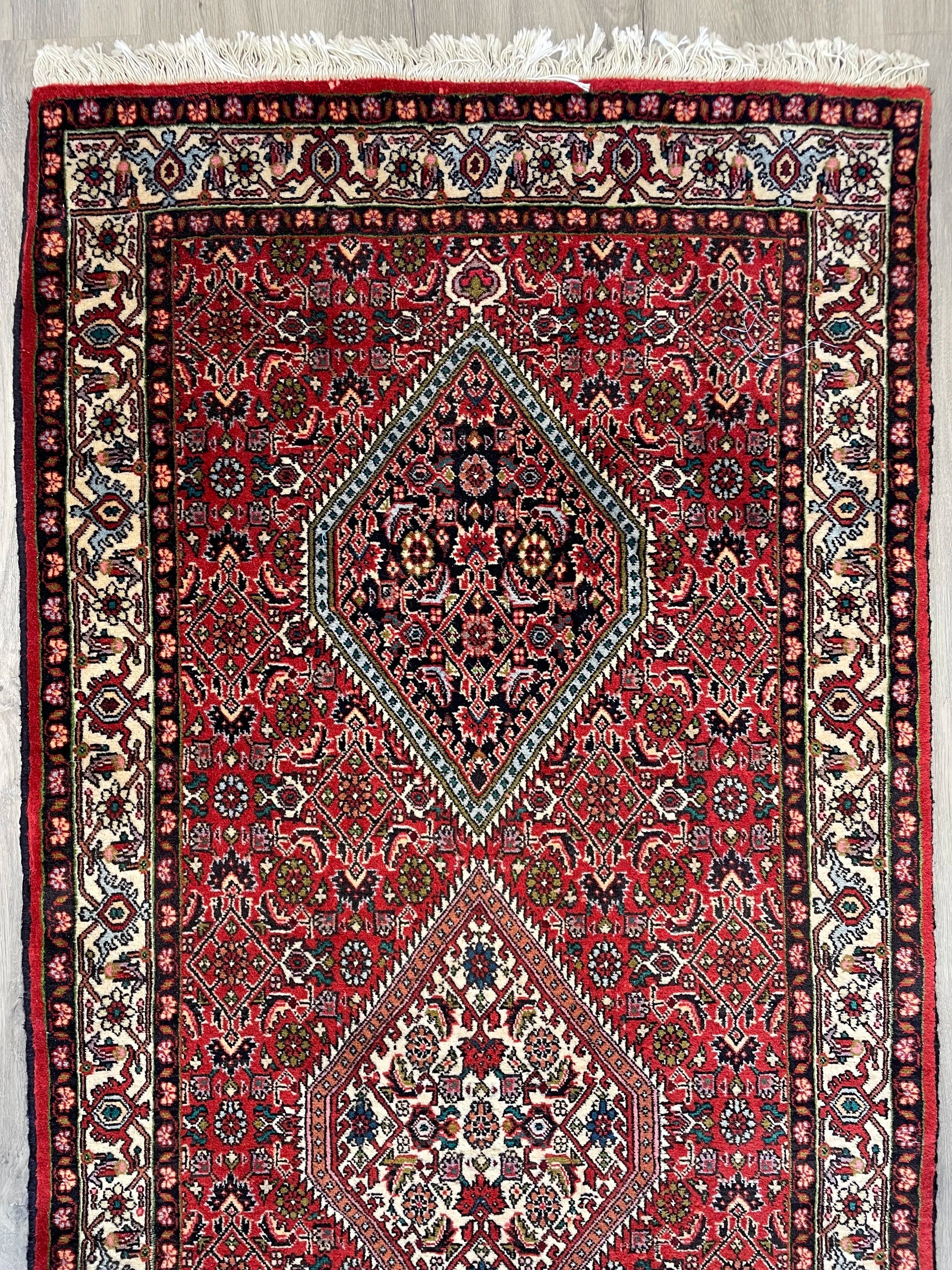 Bijar Rug Runner (2'10" x 9'11")