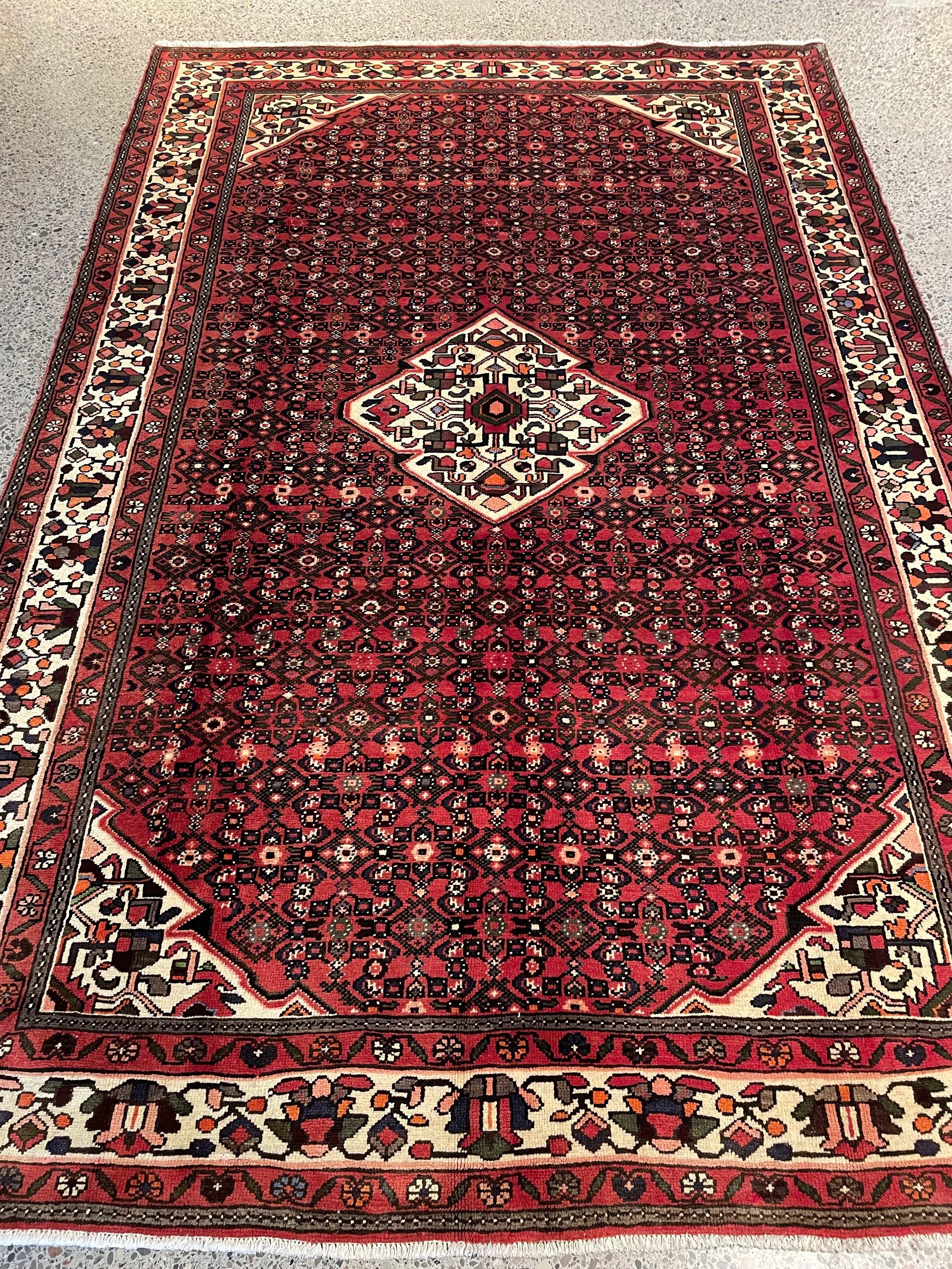 Hosseinabad Wool Rug (6'11" x 10'6")