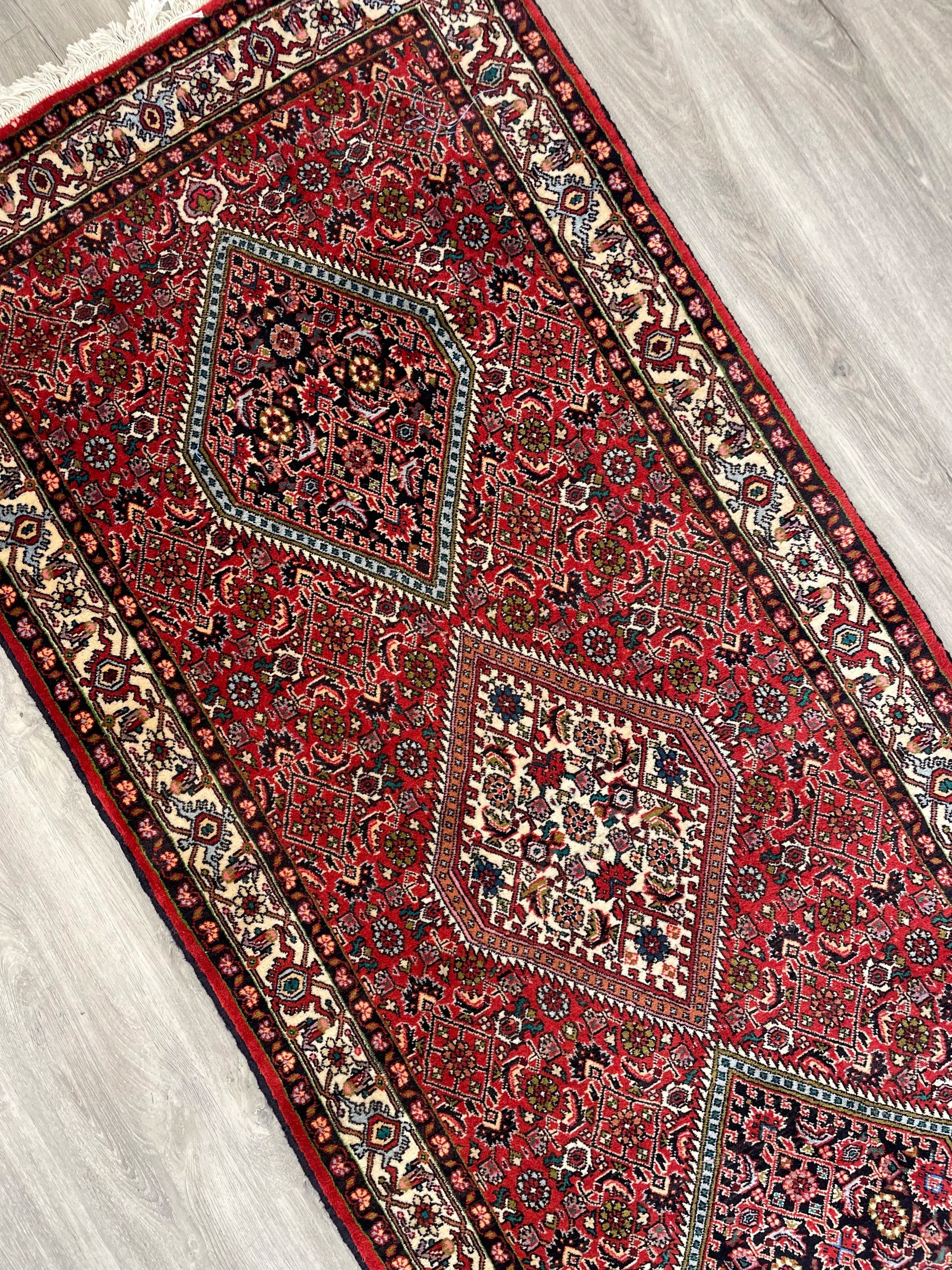 Bijar Rug Runner (2'10" x 9'11")