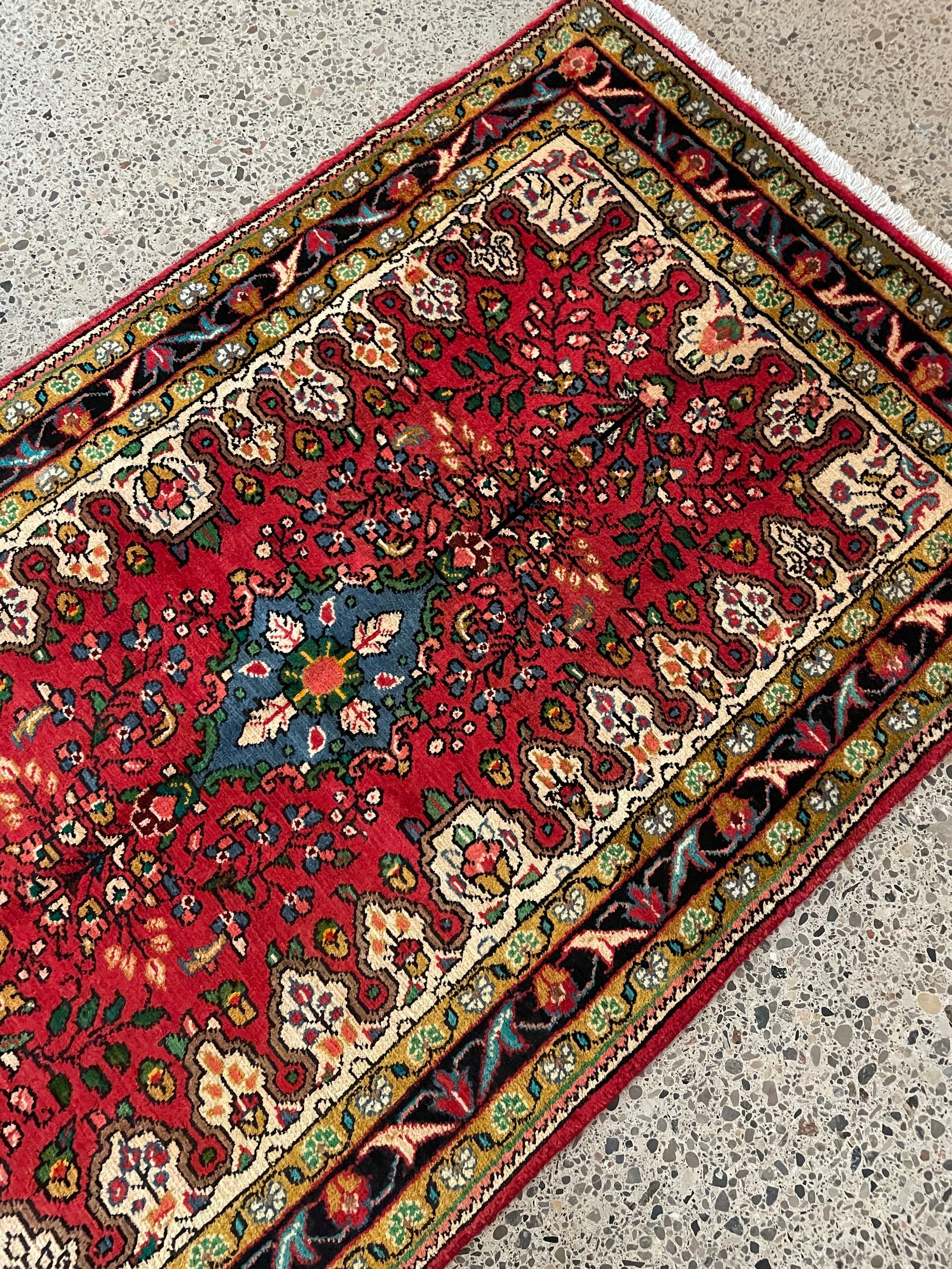Lilihan Wool Rug (3'3" x 5'9")