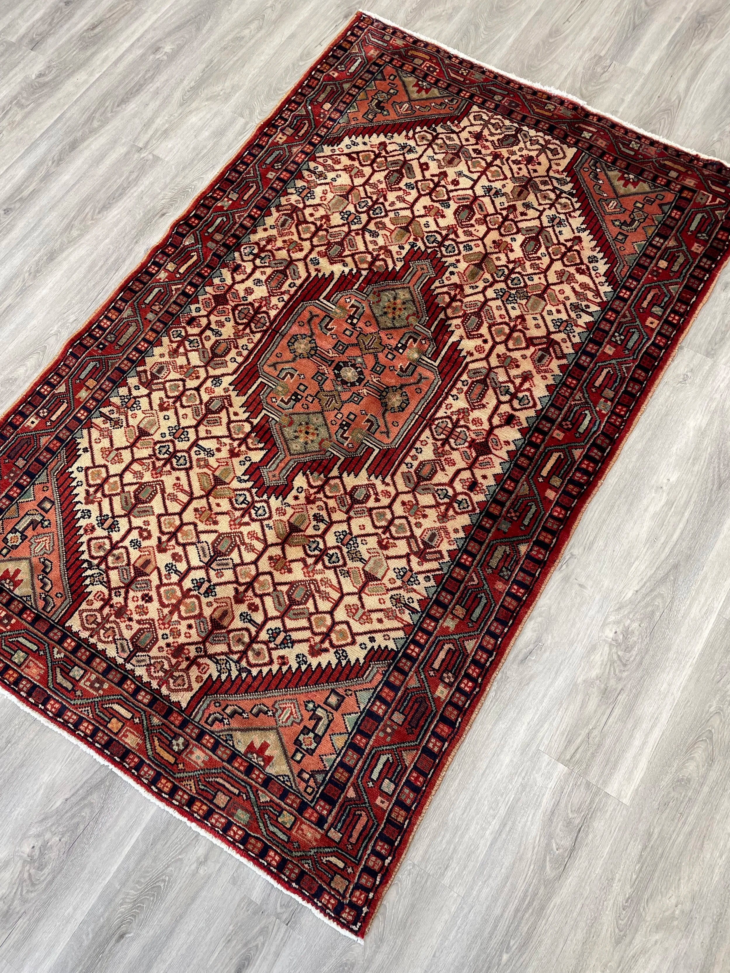 Nahavand Wool Rug (3'11" x 6'3")
