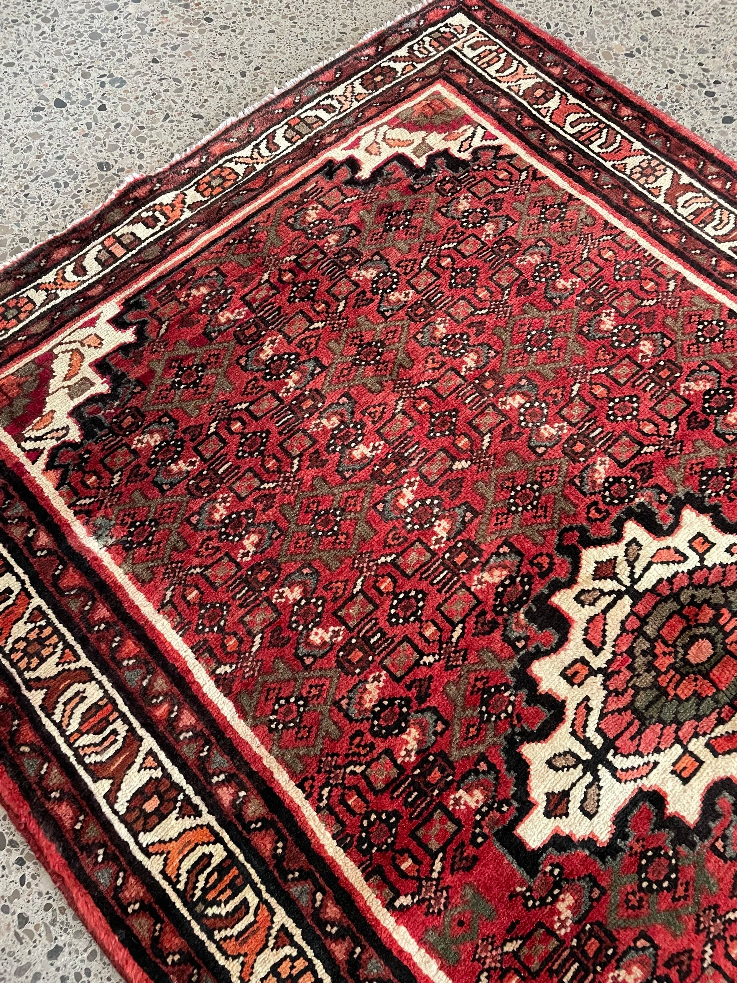 Hosseinabad Wool Rug (3'6" x 5'4")