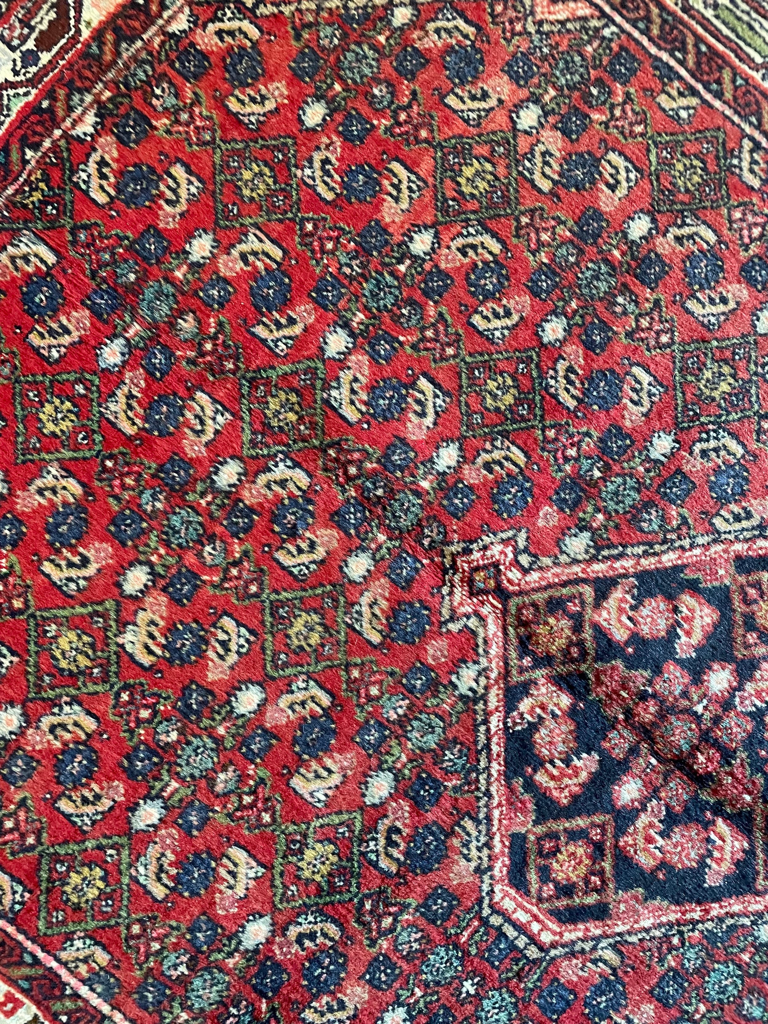 Hosseinabad Wool Rug (3'5" x 4'9")
