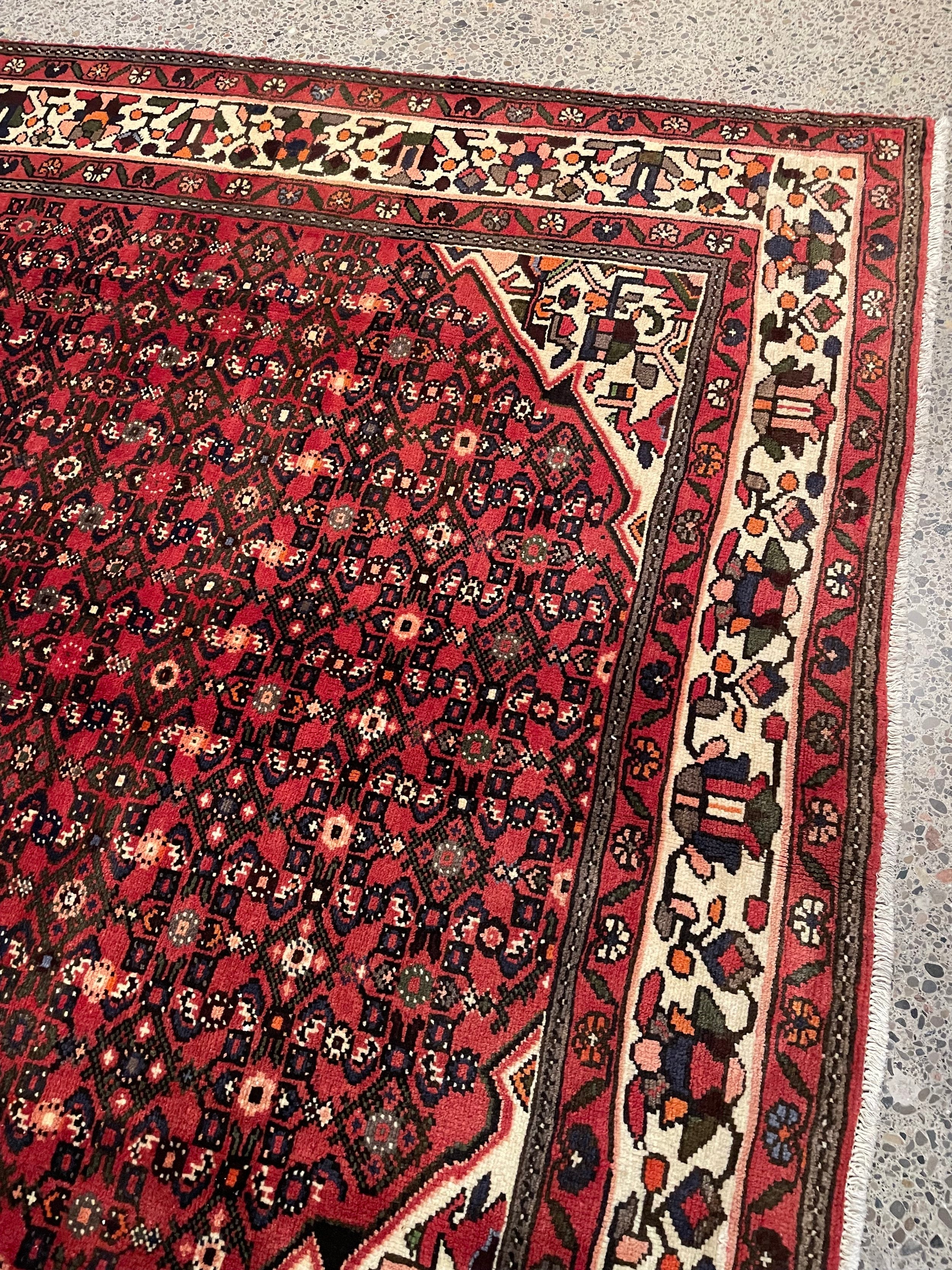 Hosseinabad Wool Rug (6'11" x 10'6")