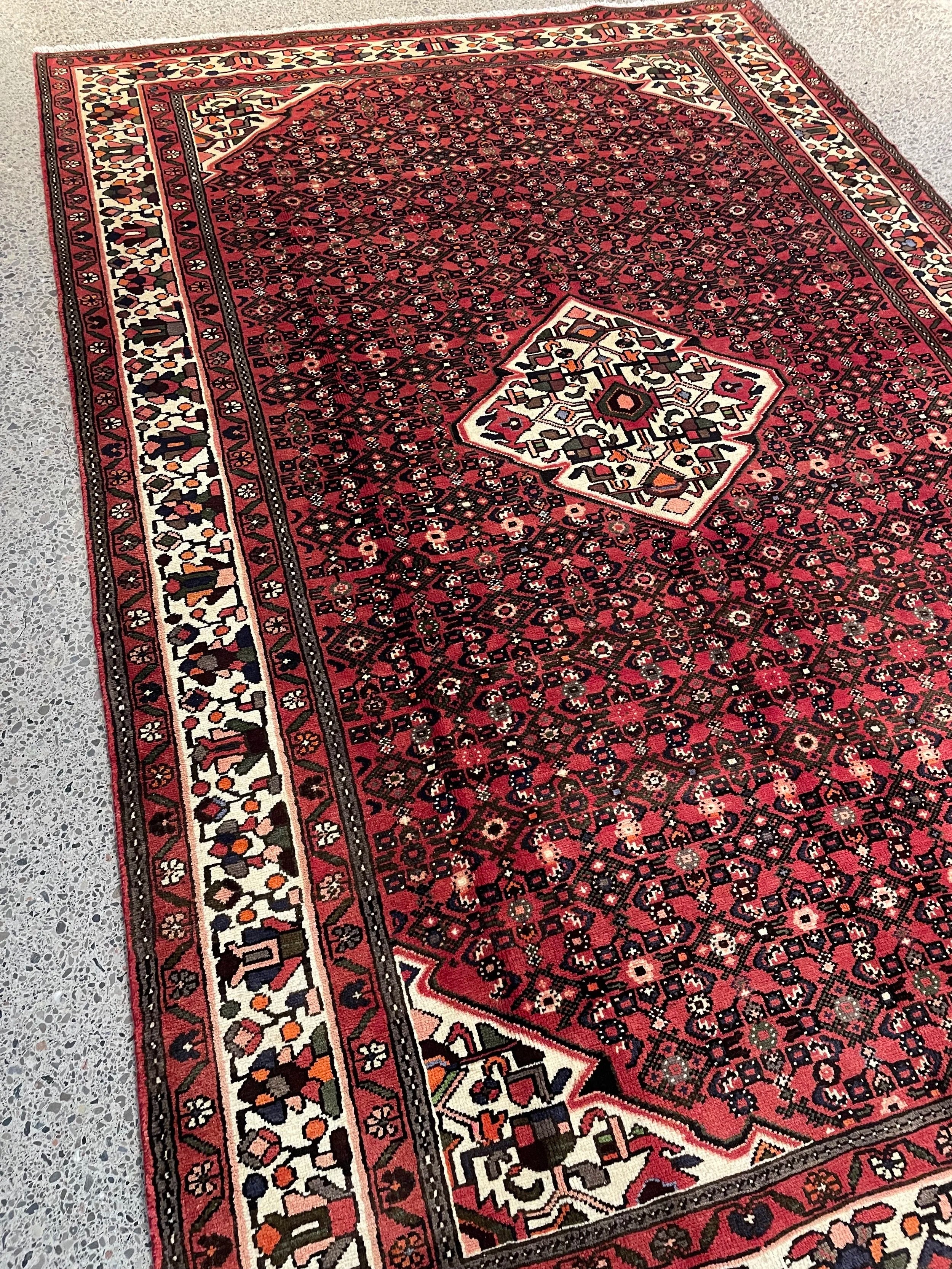 Hosseinabad Wool Rug (6'11" x 10'6")