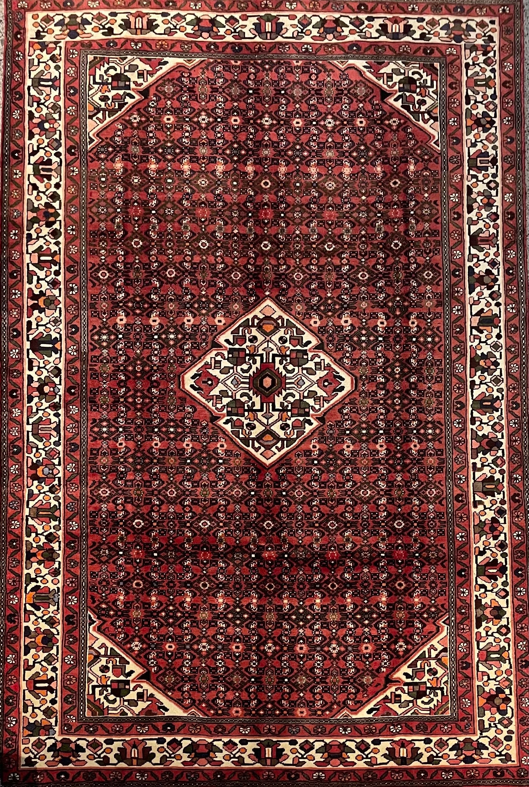 Hosseinabad Wool Rug (6'11" x 10'6")