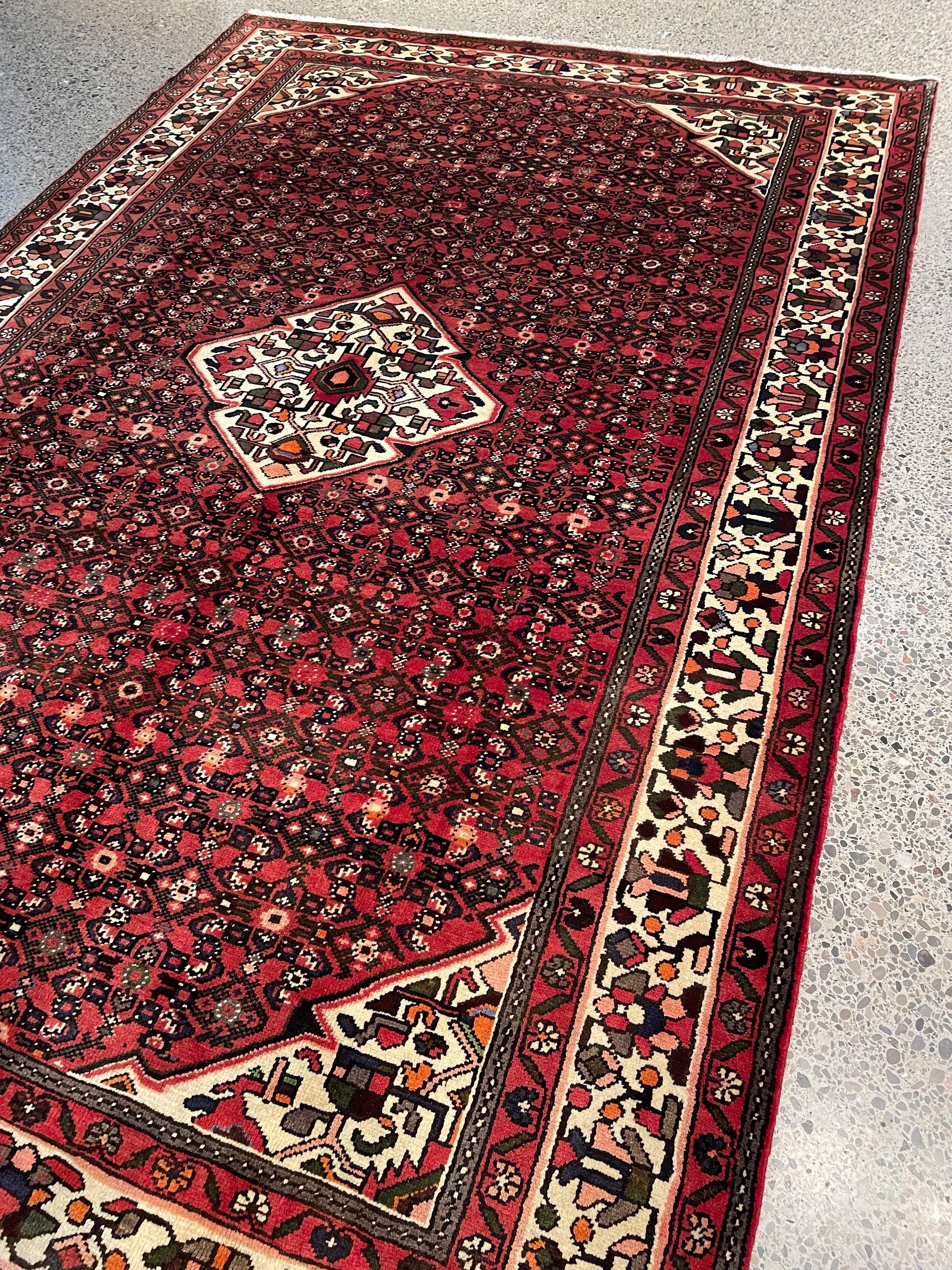 Hosseinabad Wool Rug (6'11" x 10'6")