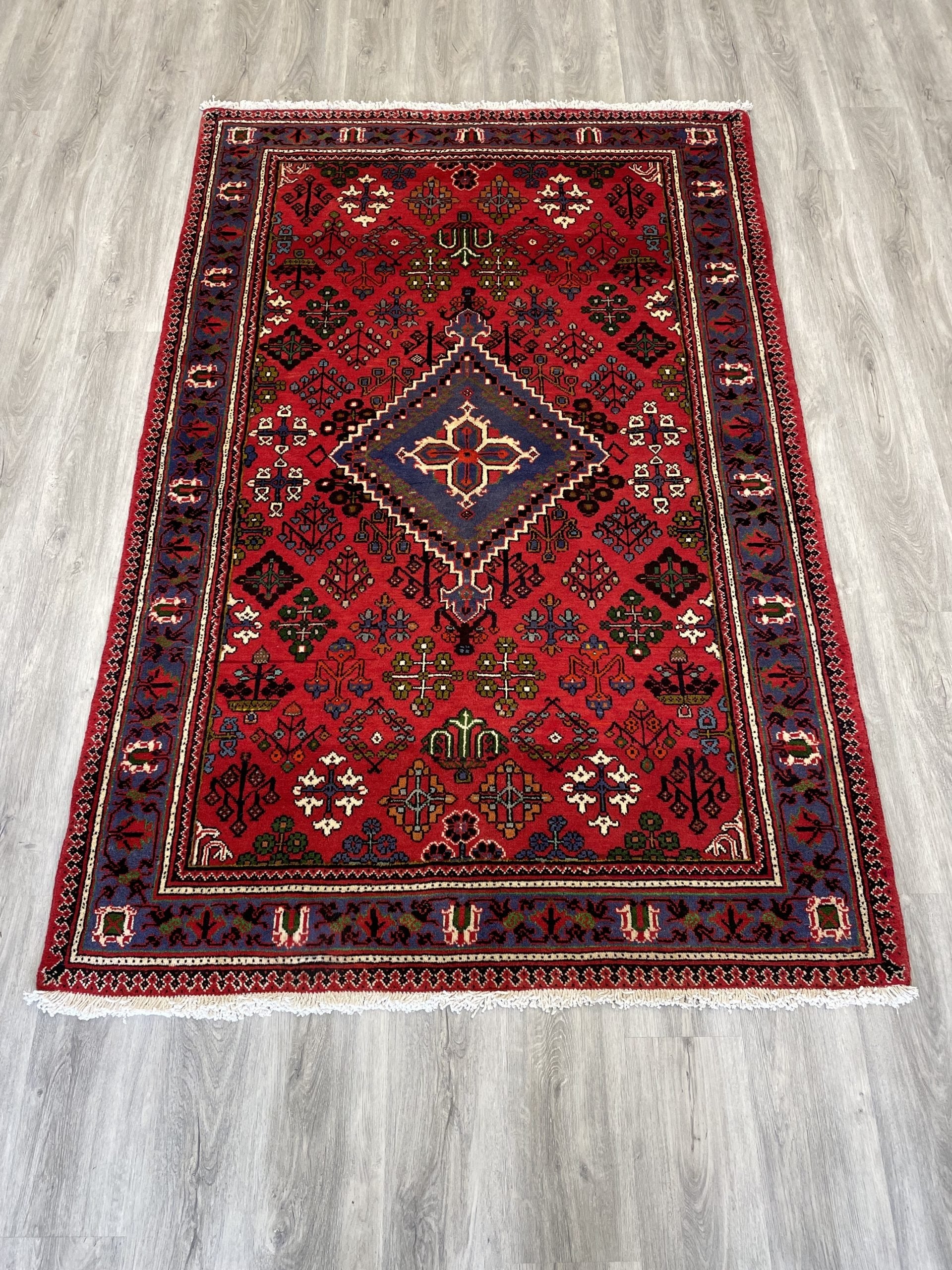 Joshaghan Tribal Wool Rug (4'6" x 7'0")