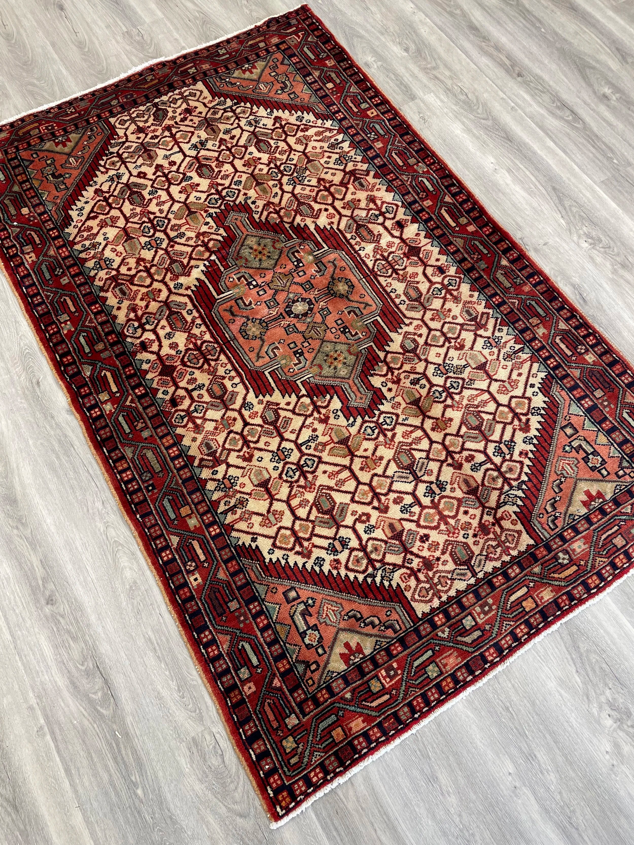 Nahavand Wool Rug (3'11" x 6'3")