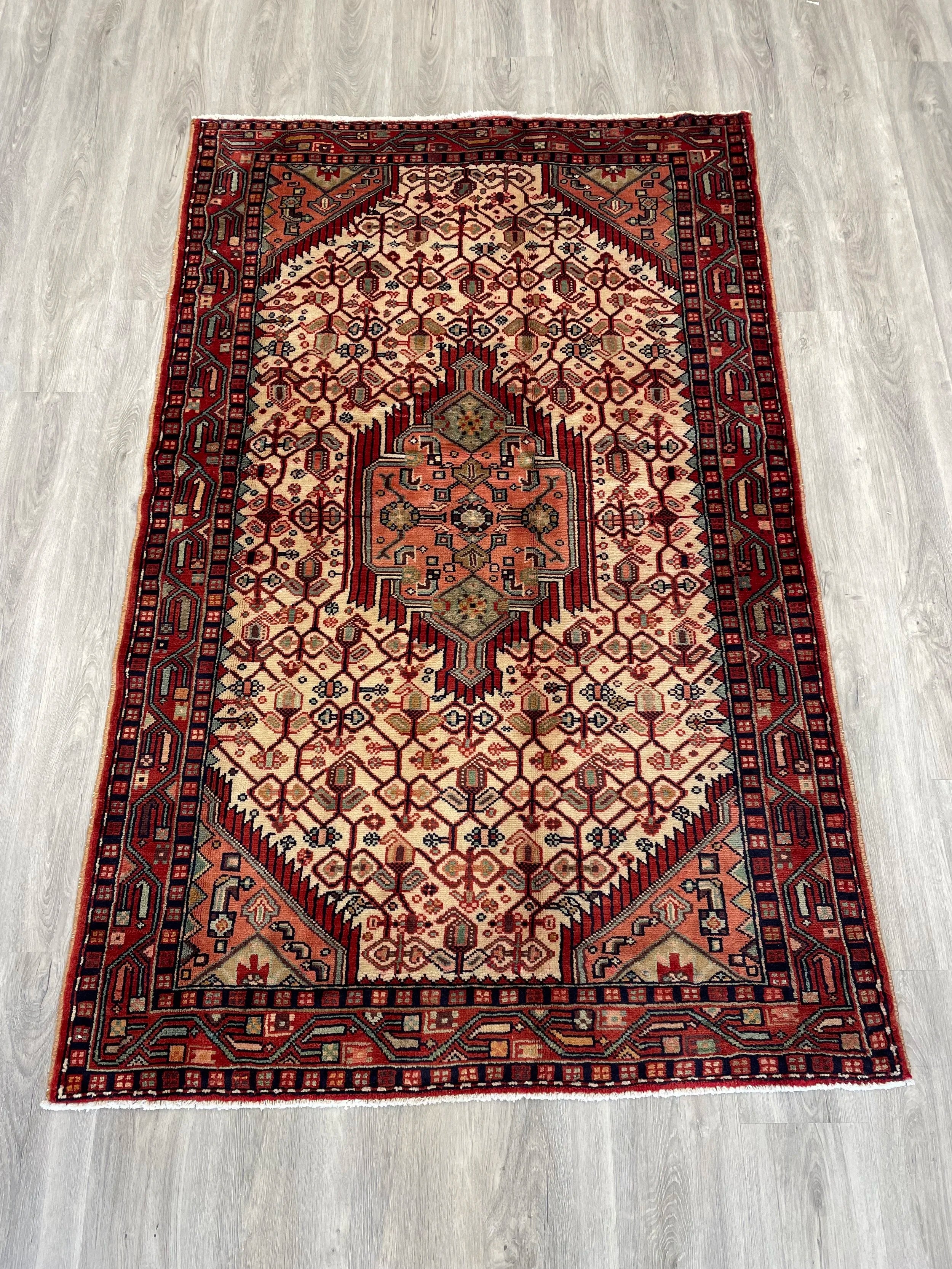 Nahavand Wool Rug (3'11" x 6'3")