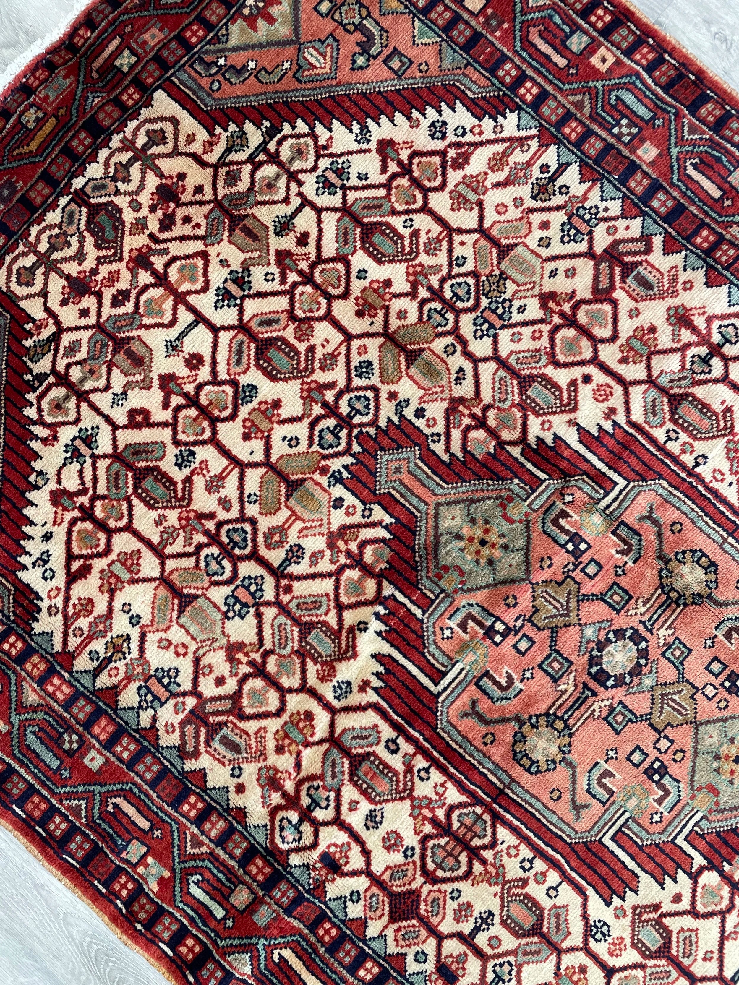 Nahavand Wool Rug (3'11" x 6'3")