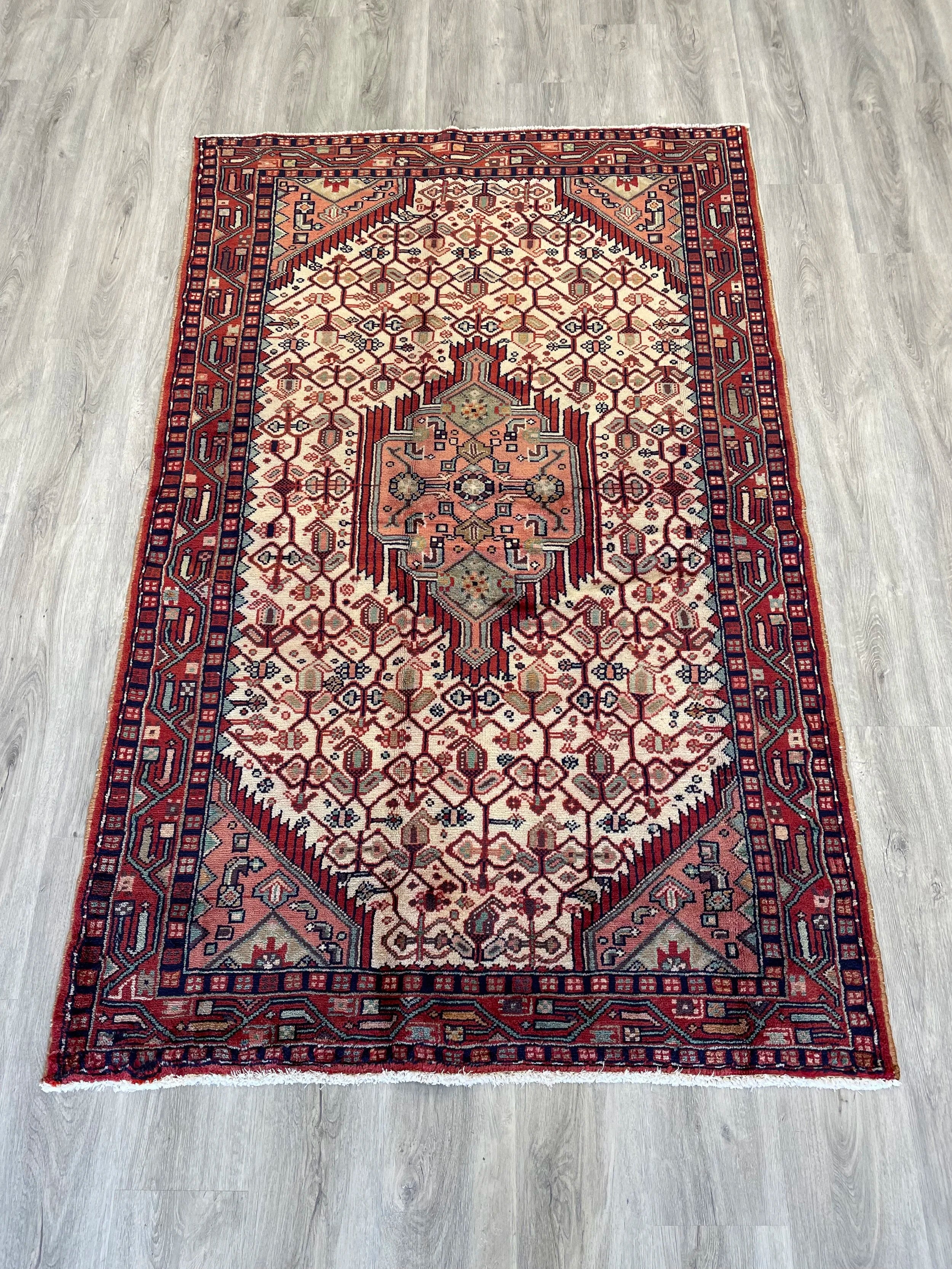 Nahavand Wool Rug (3'11" x 6'3")