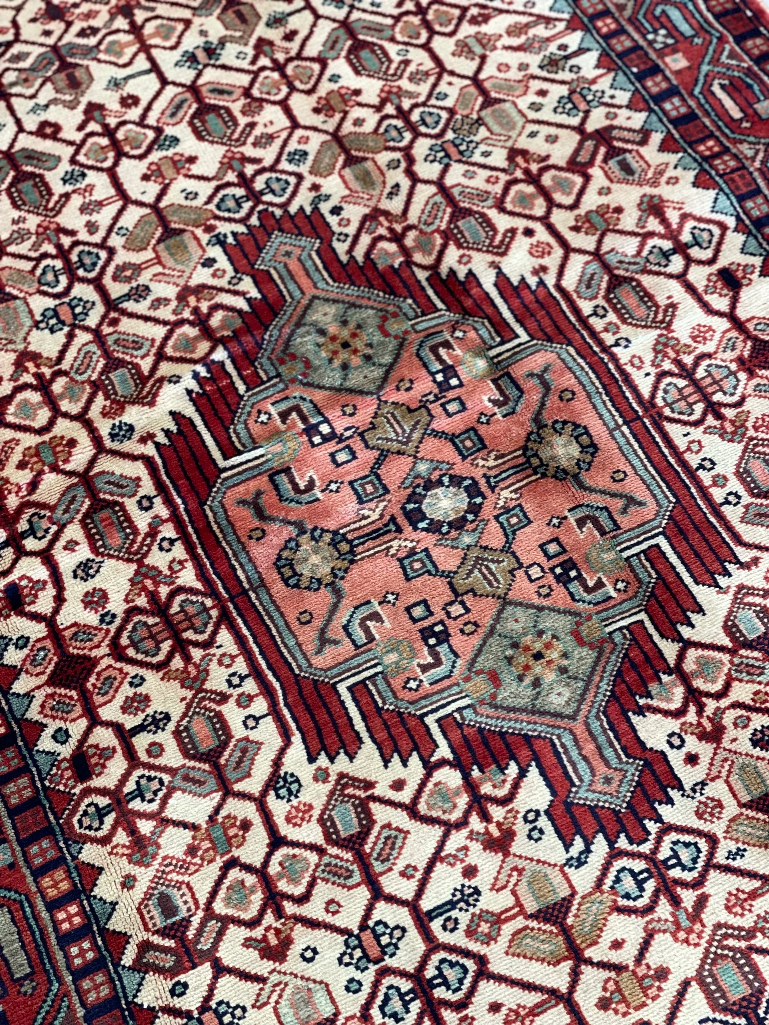 Nahavand Wool Rug (3'11" x 6'3")