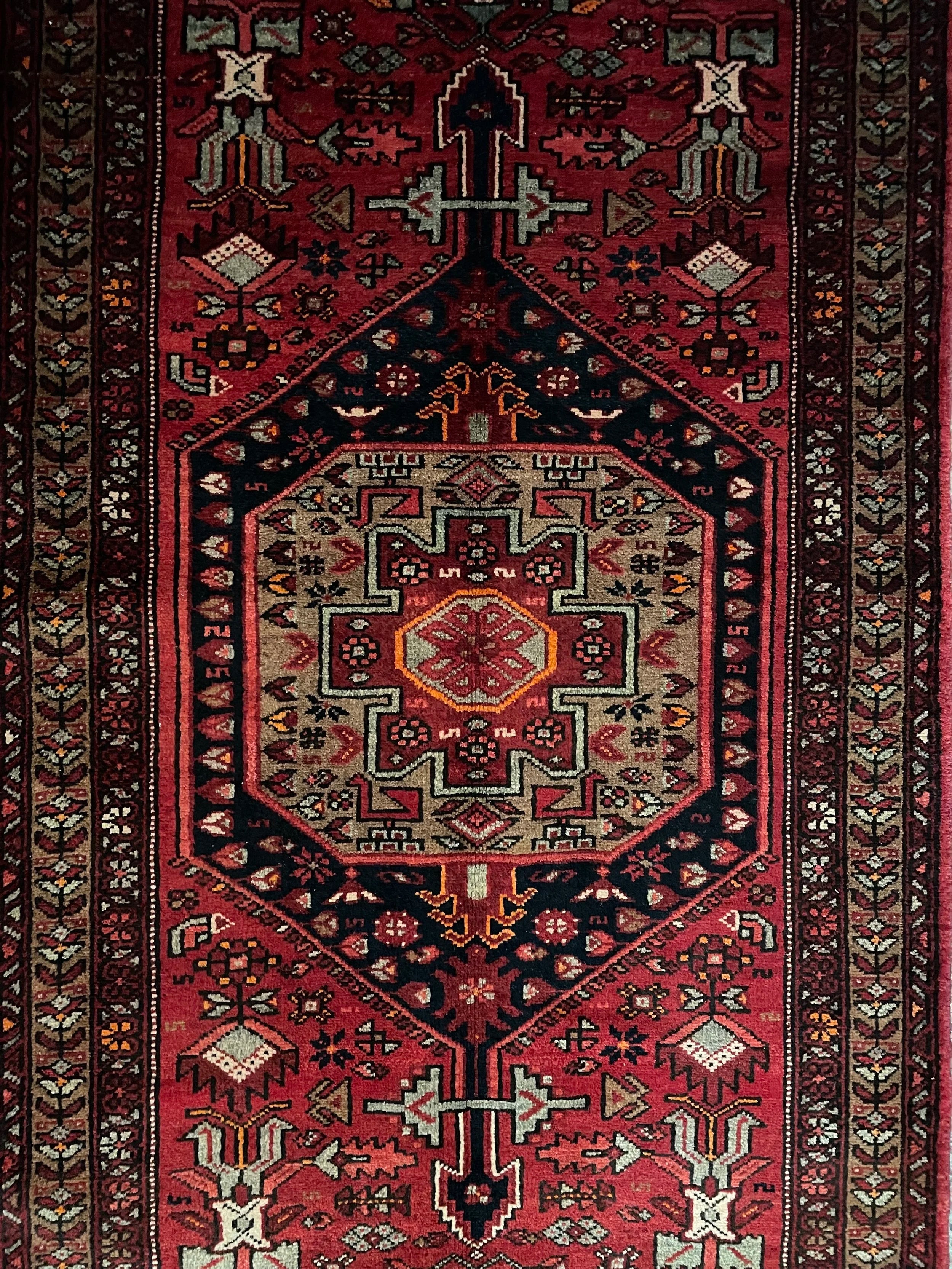 Zanjan Rug (3'2" x 6'6")