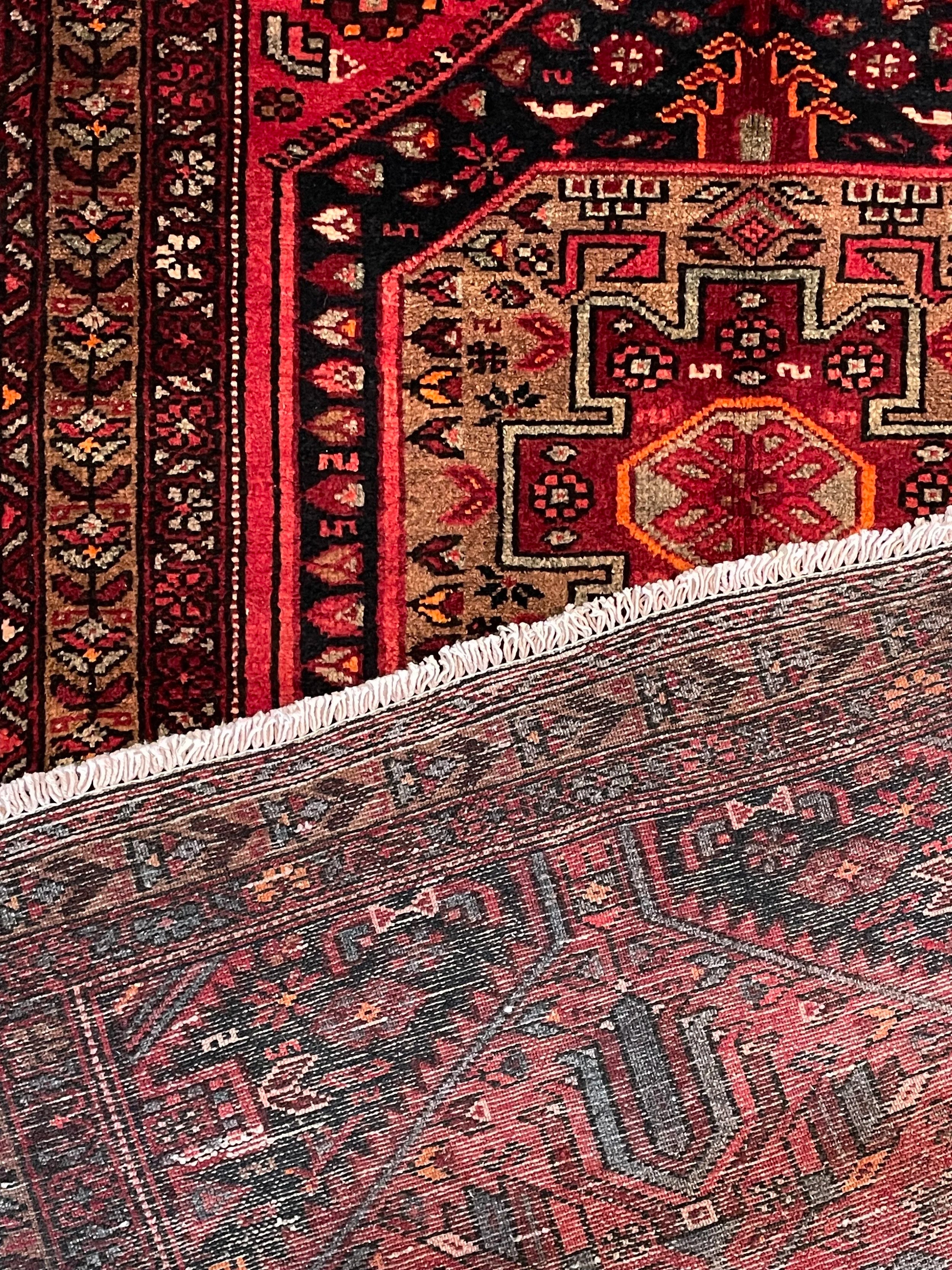 Zanjan Rug (3'2" x 6'6")