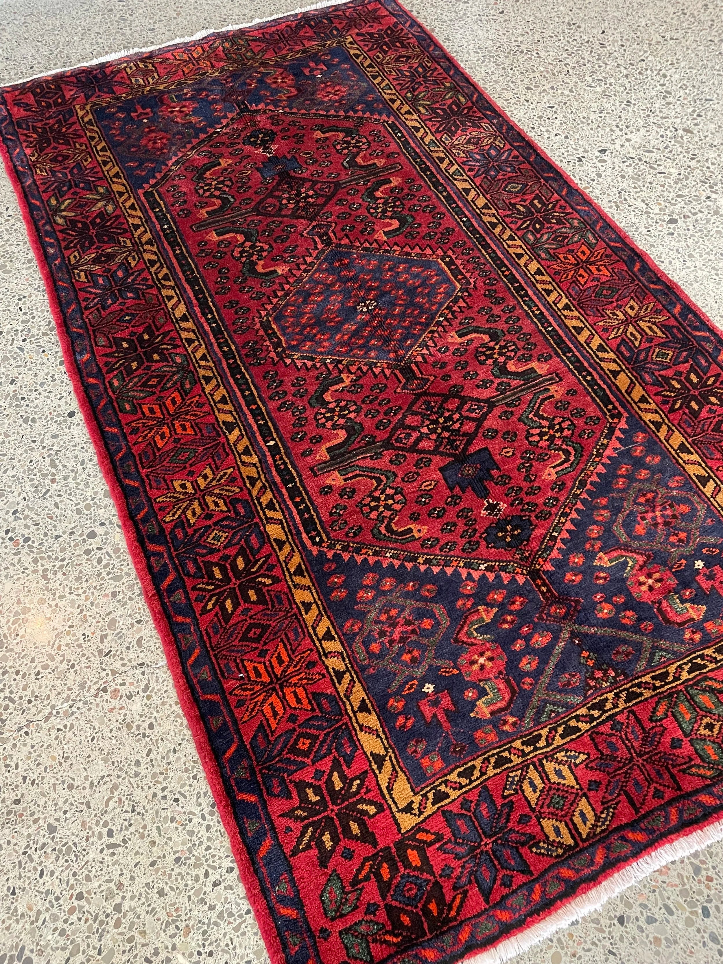 Zanjan Wool Rug (3'9" x 6'8")
