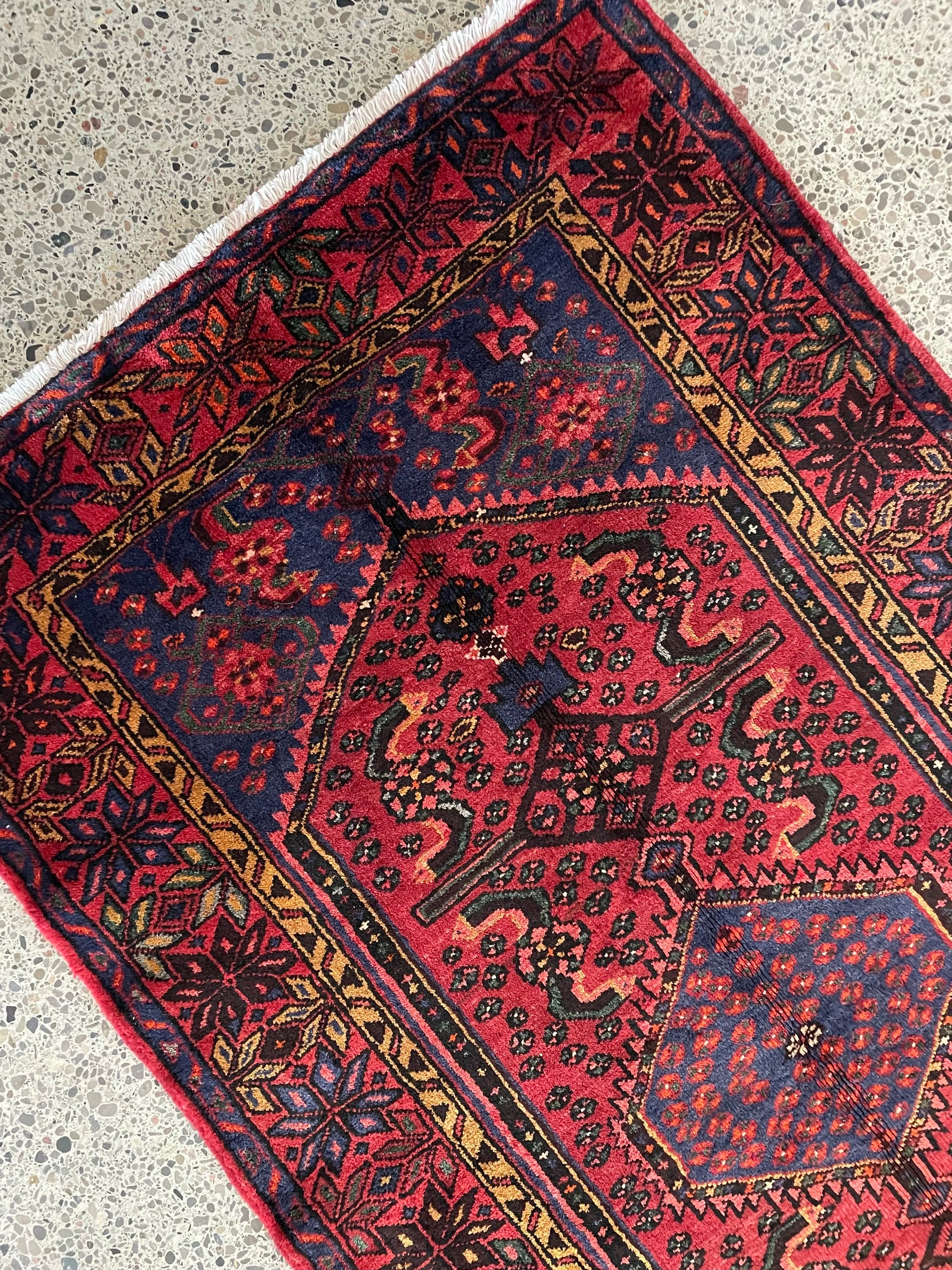 Zanjan Wool Rug (3'9" x 6'8")